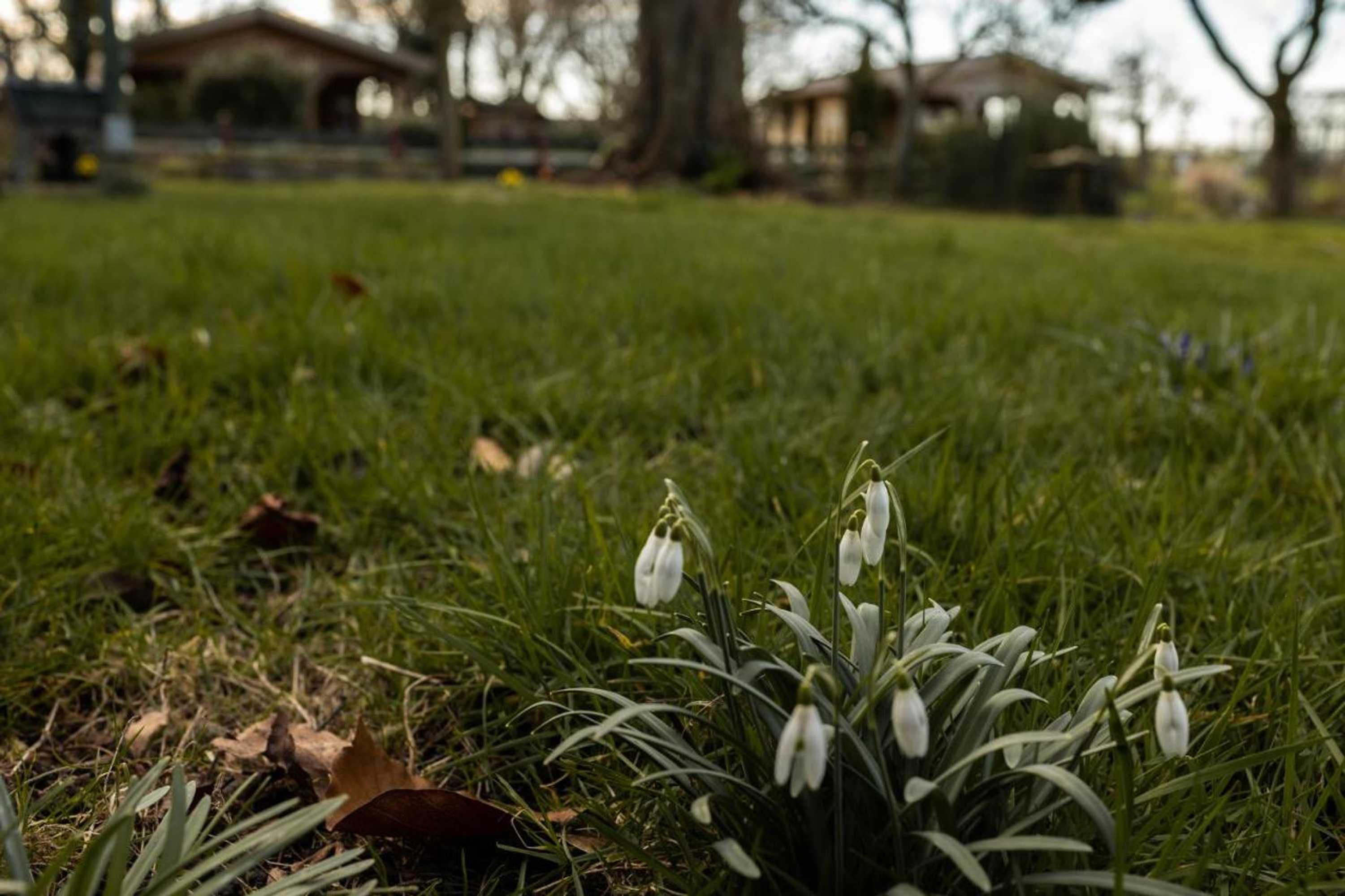 Gift card for B&b Ben in Broek