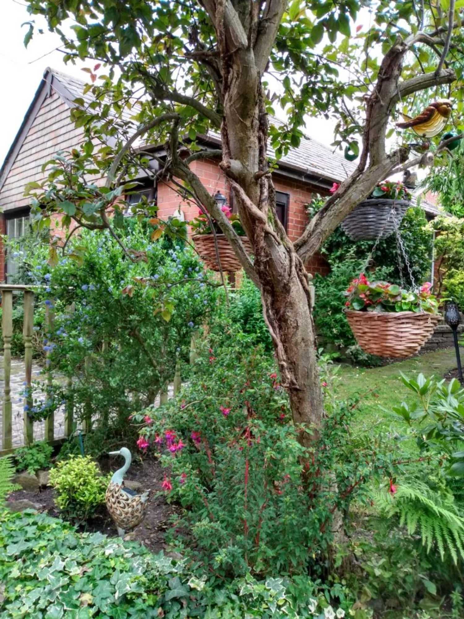 Gift card for Hollingworth Lake Guest House