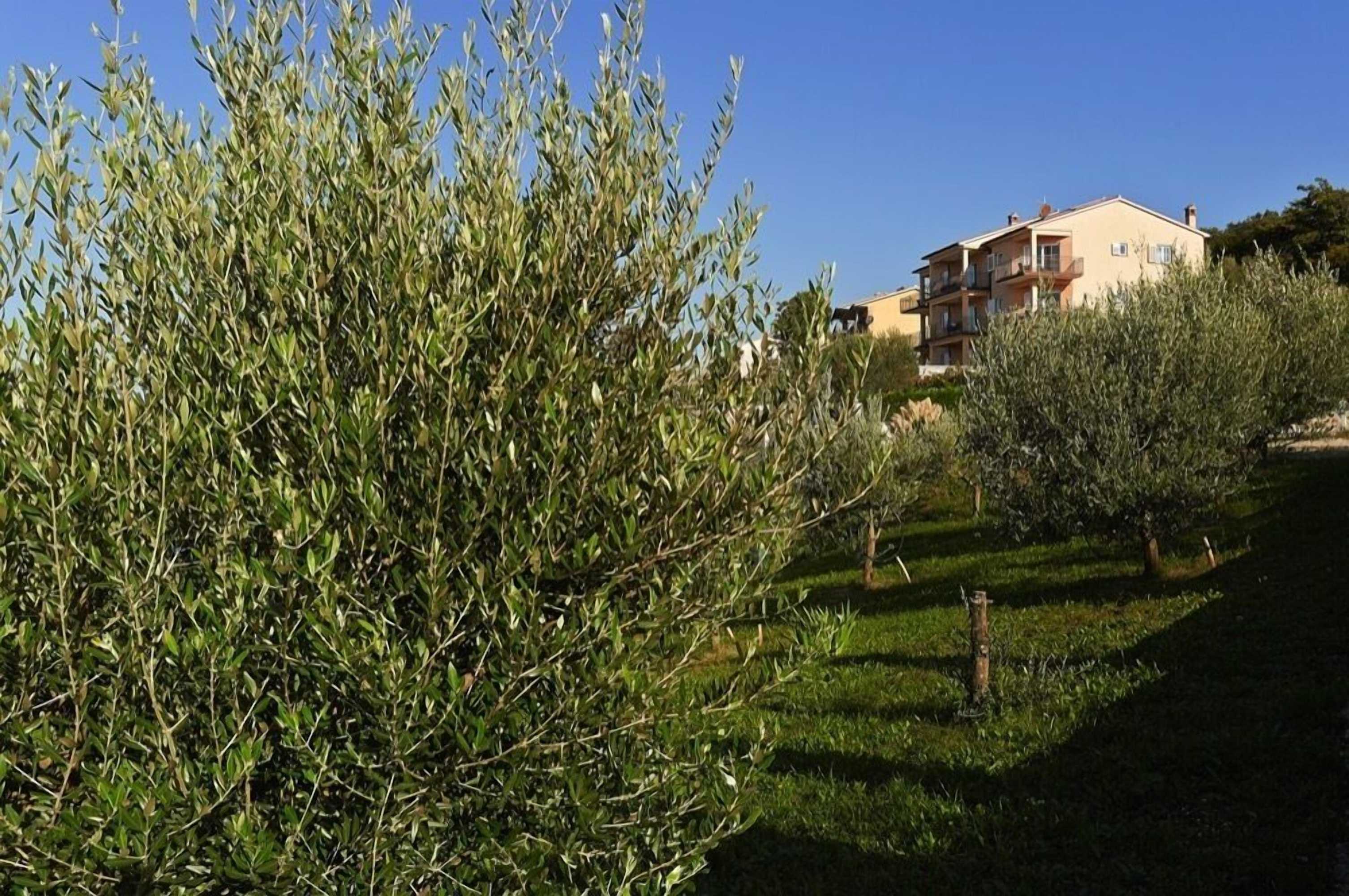 Gift card for Apartments Villa Venera