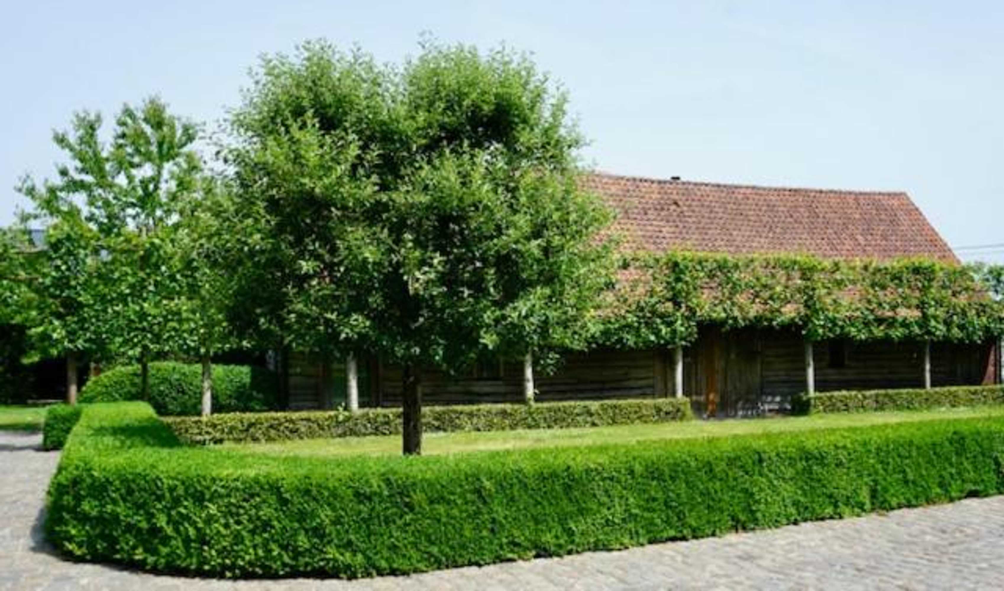 Gift card for B&b De Hulst
