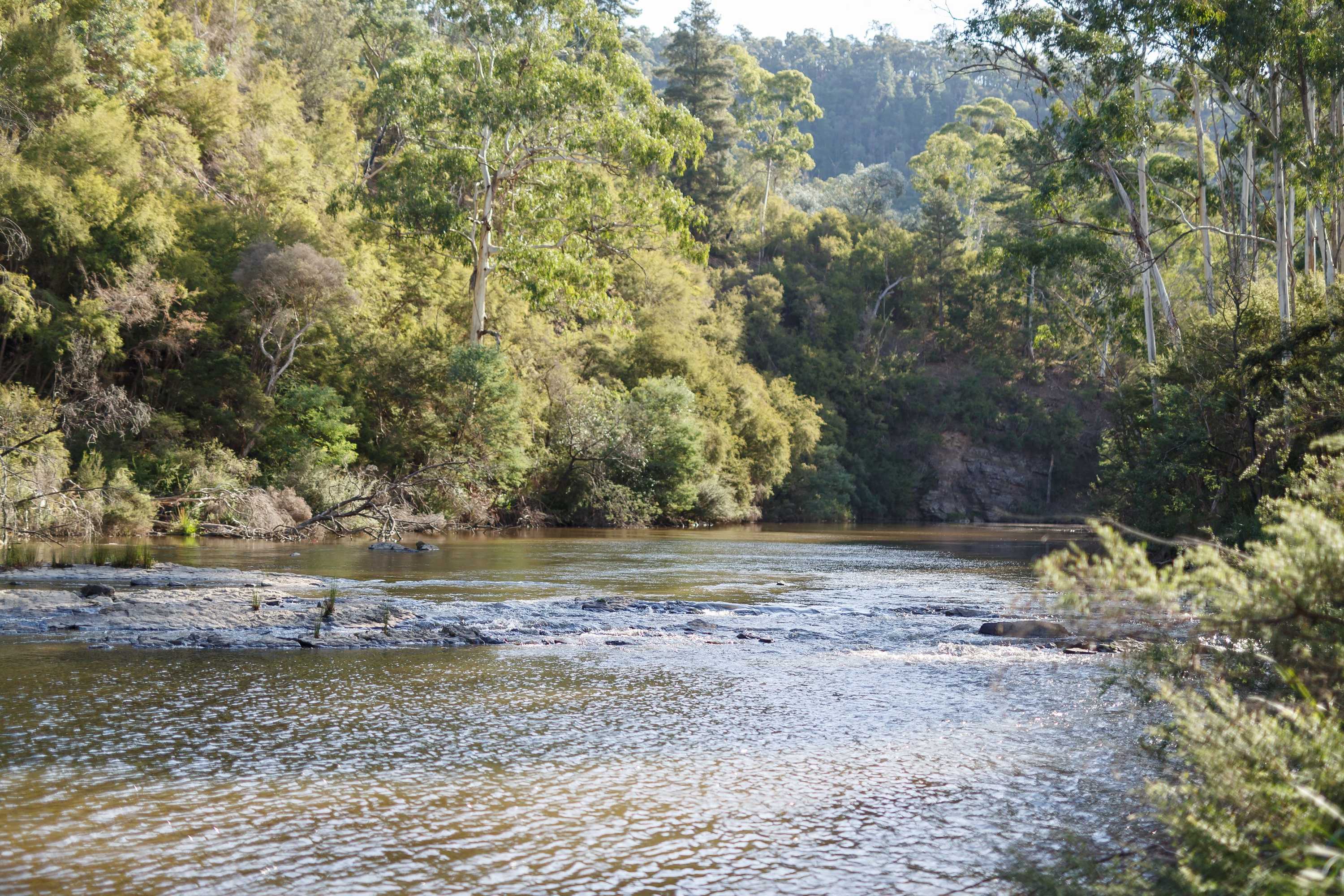 Gift card for Yering Gorge Cottages