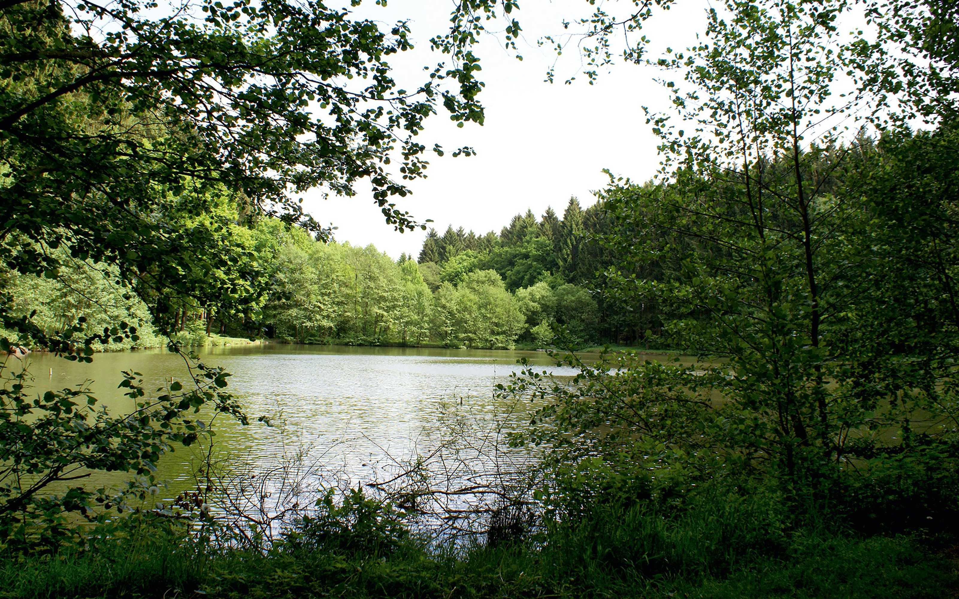 Gift card for Naturresort Tannenhof