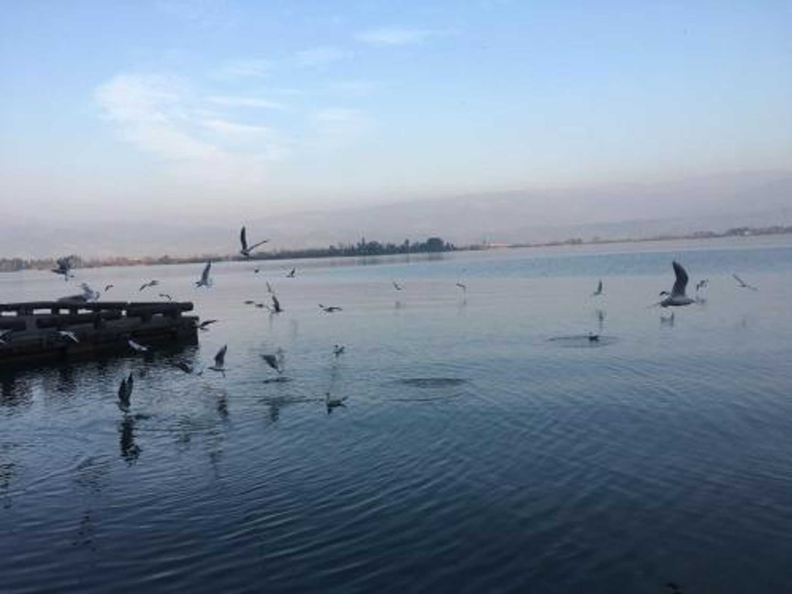 Gift card for 7days Premium Xichang Torch Plaza Qionghai Wetland Park Branch Gift card for 7days Premium Xichang Torch Plaza Qionghai Wetland Park Branch