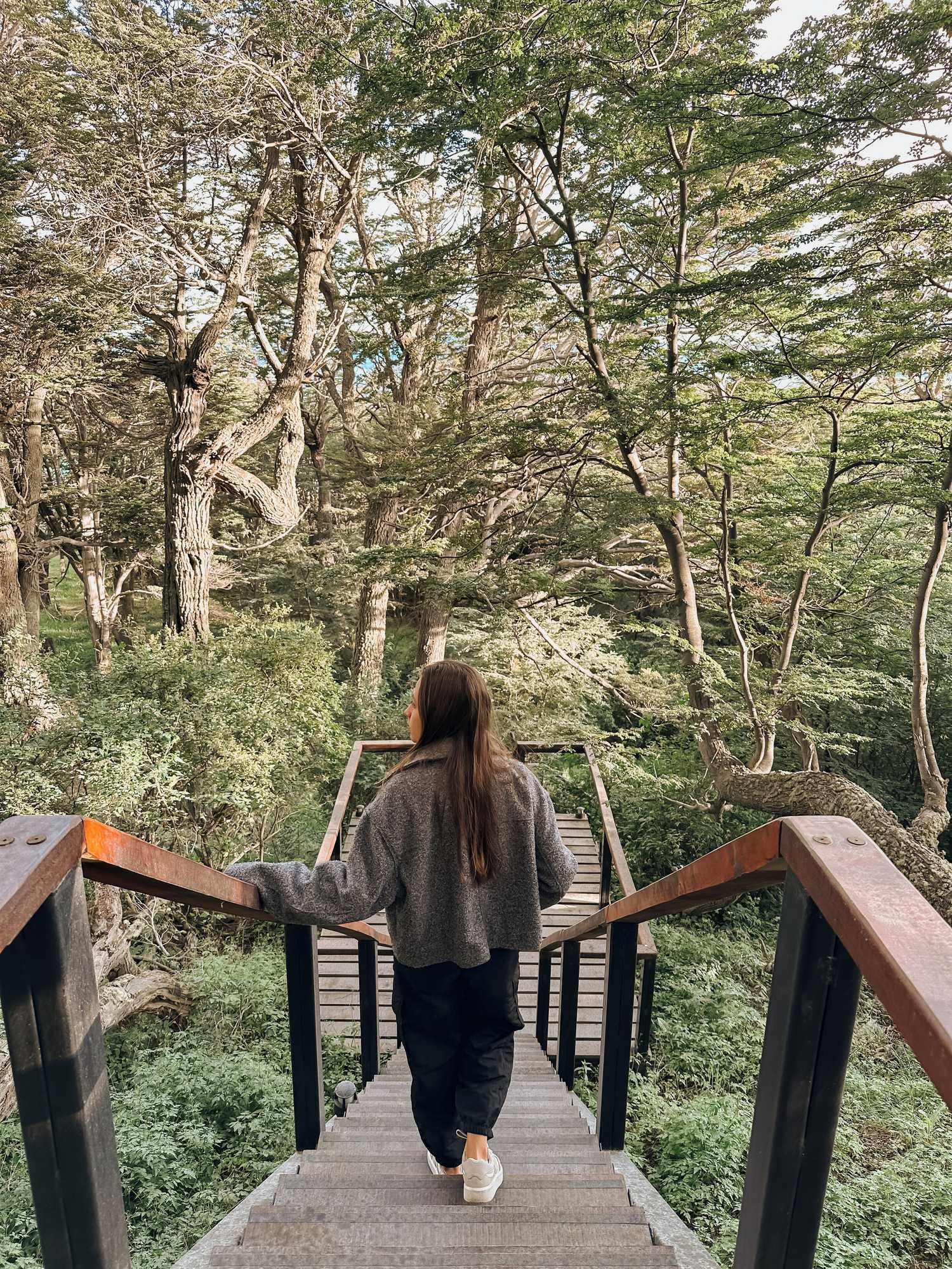 Gift card for Los Ñires Ushuaia Gift card for Los Ñires Ushuaia