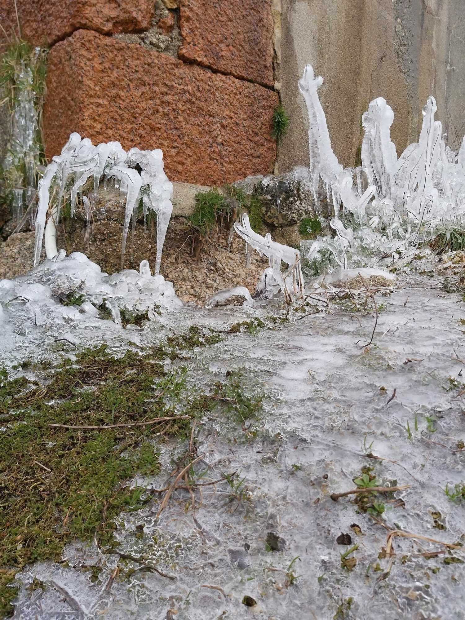 Gift card for Encosta da Serra