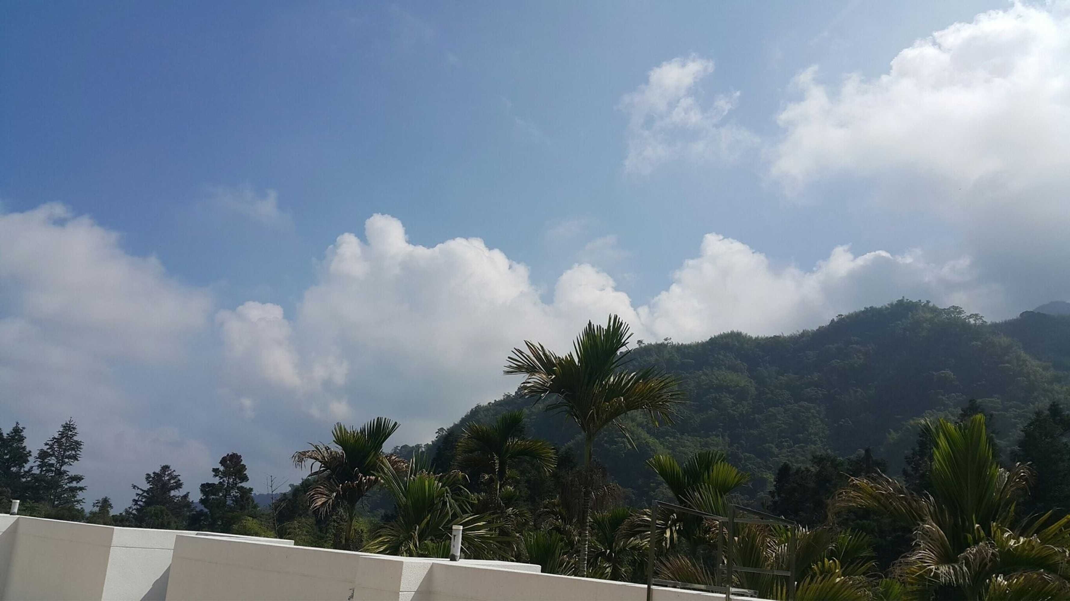 Gift card for Xitou Bi Xue Shan Lin Homestay Gift card for Xitou Bi Xue Shan Lin Homestay