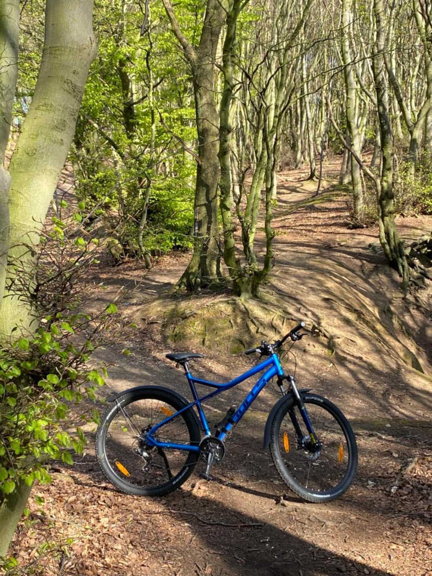 Gift card for Hotel & Restaurant Wittekindsquelle