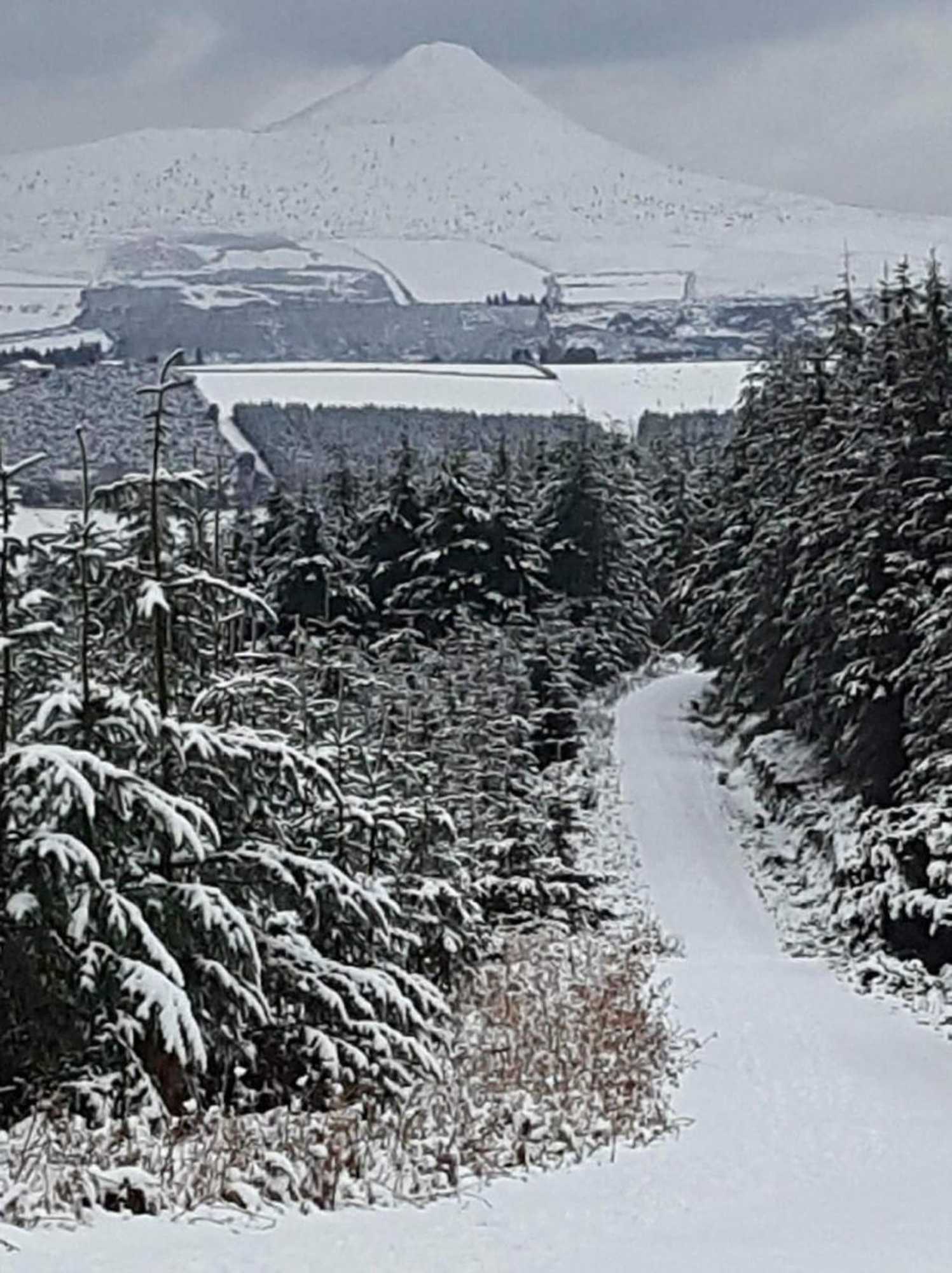 Gift card for The Enniskerry Inn