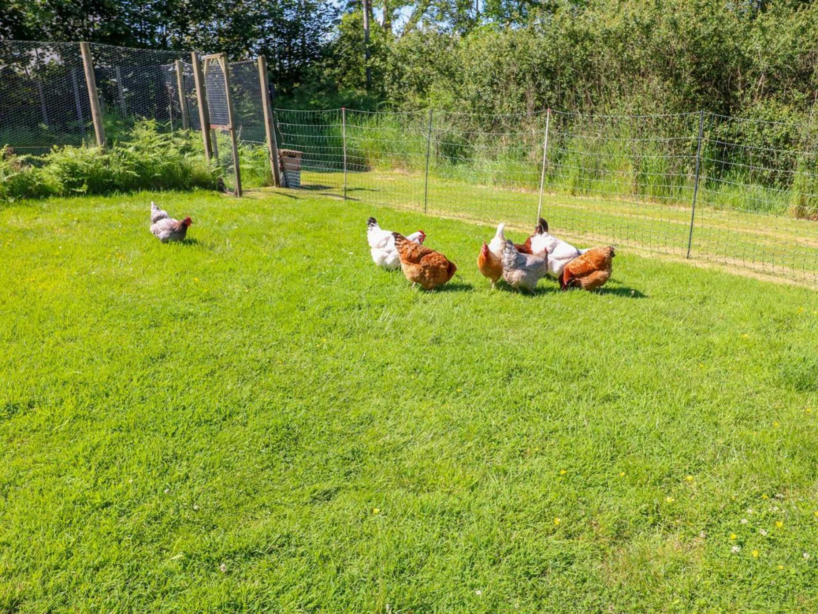 Gift card for Mill View