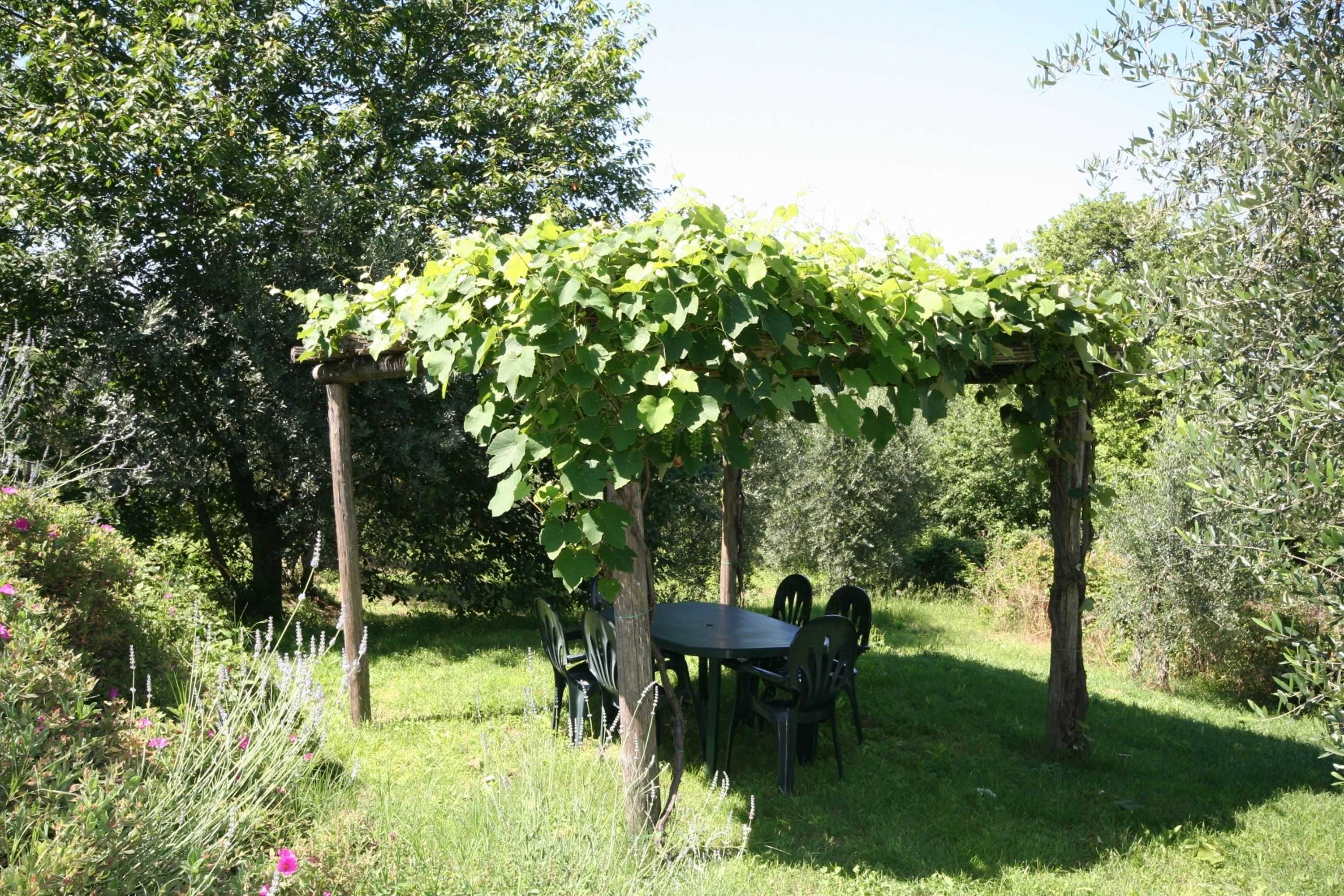 Gift card for Podere il Pino Gift card for Podere il Pino