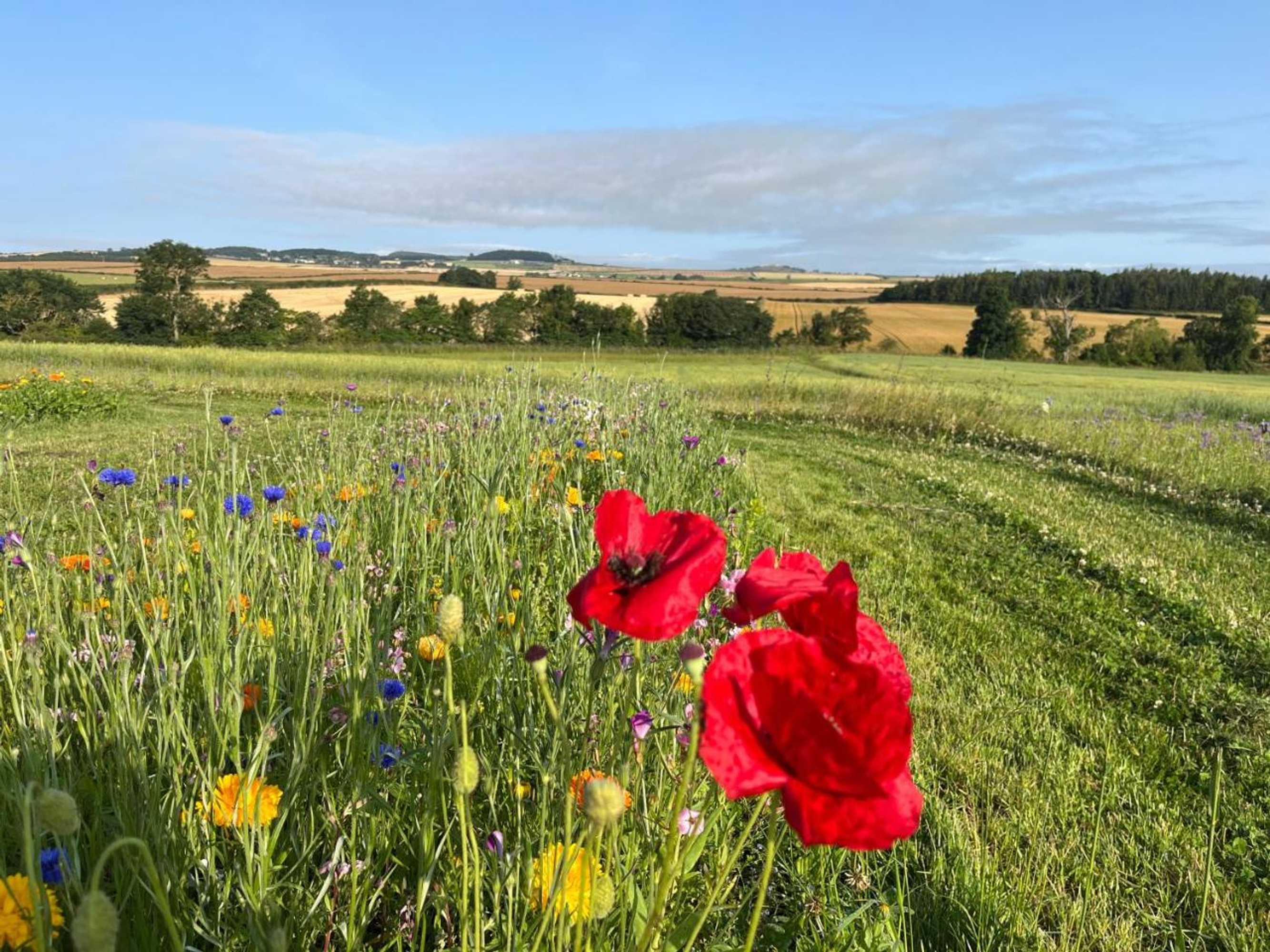 Gift card for Tweed Hideaway