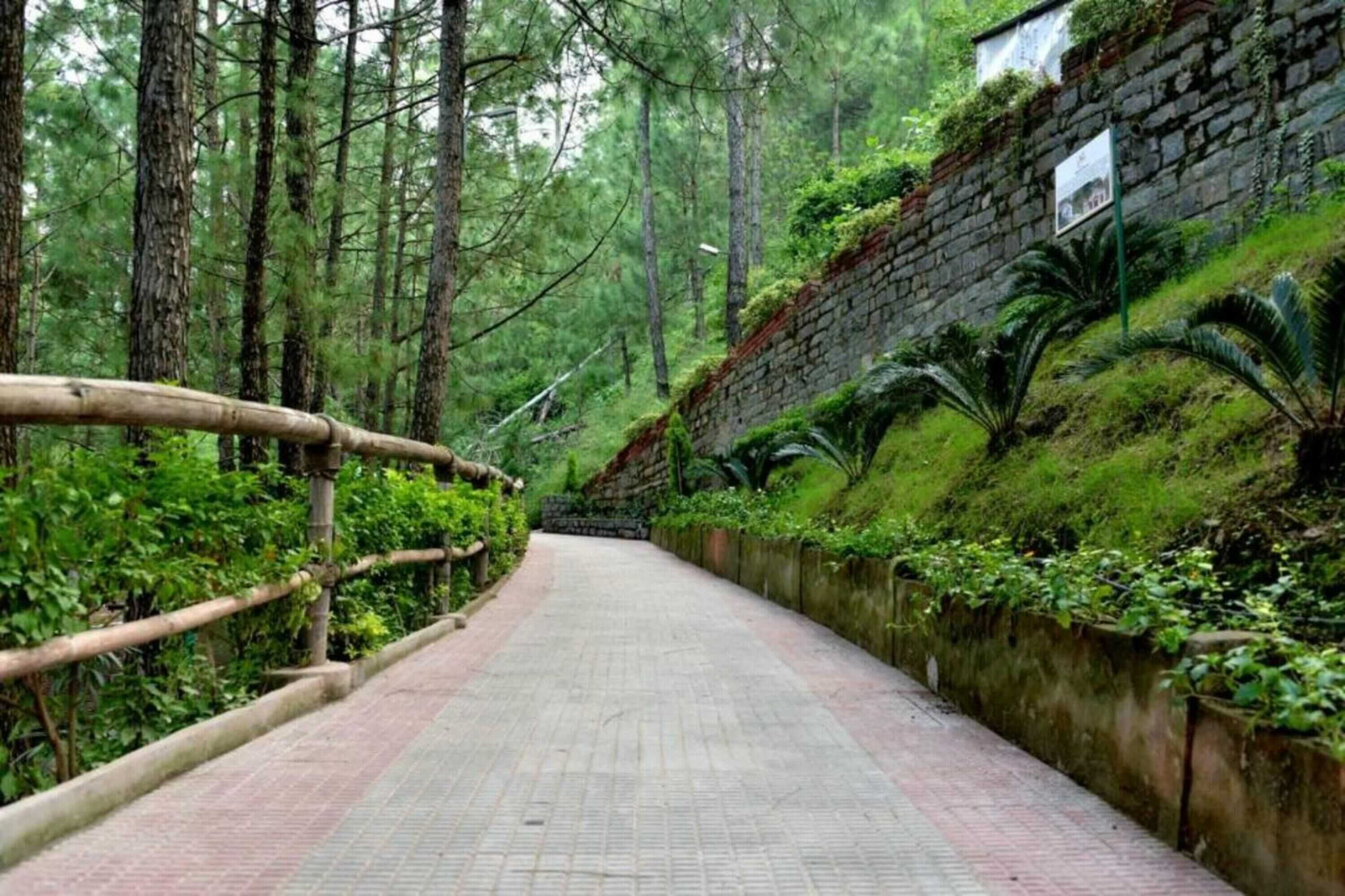 Gift card for Kasauli Hills by PC Kunj Gift card for Kasauli Hills by PC Kunj