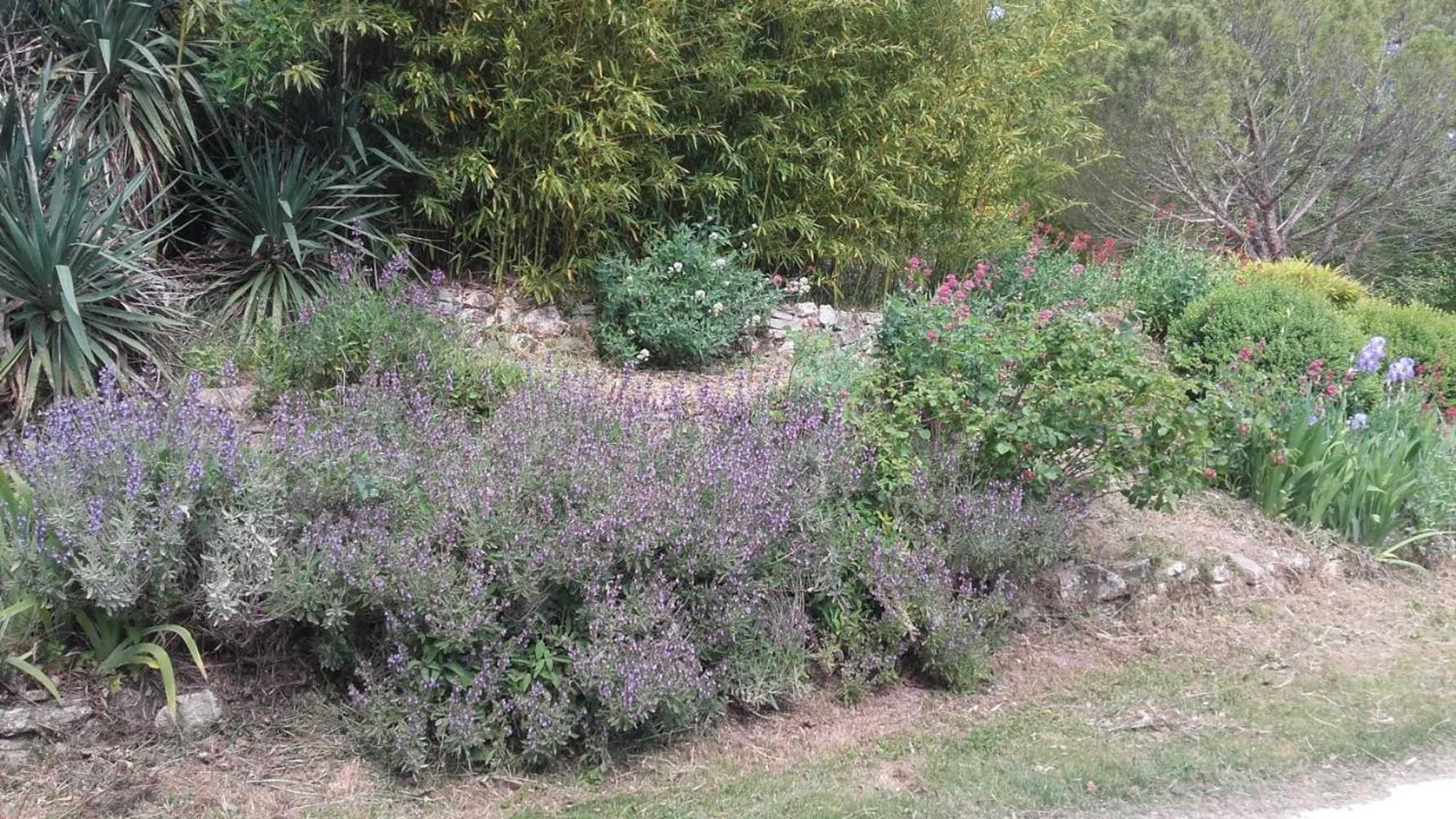 Gift card for Domaine Des Petits Cancets Gift card for Domaine Des Petits Cancets