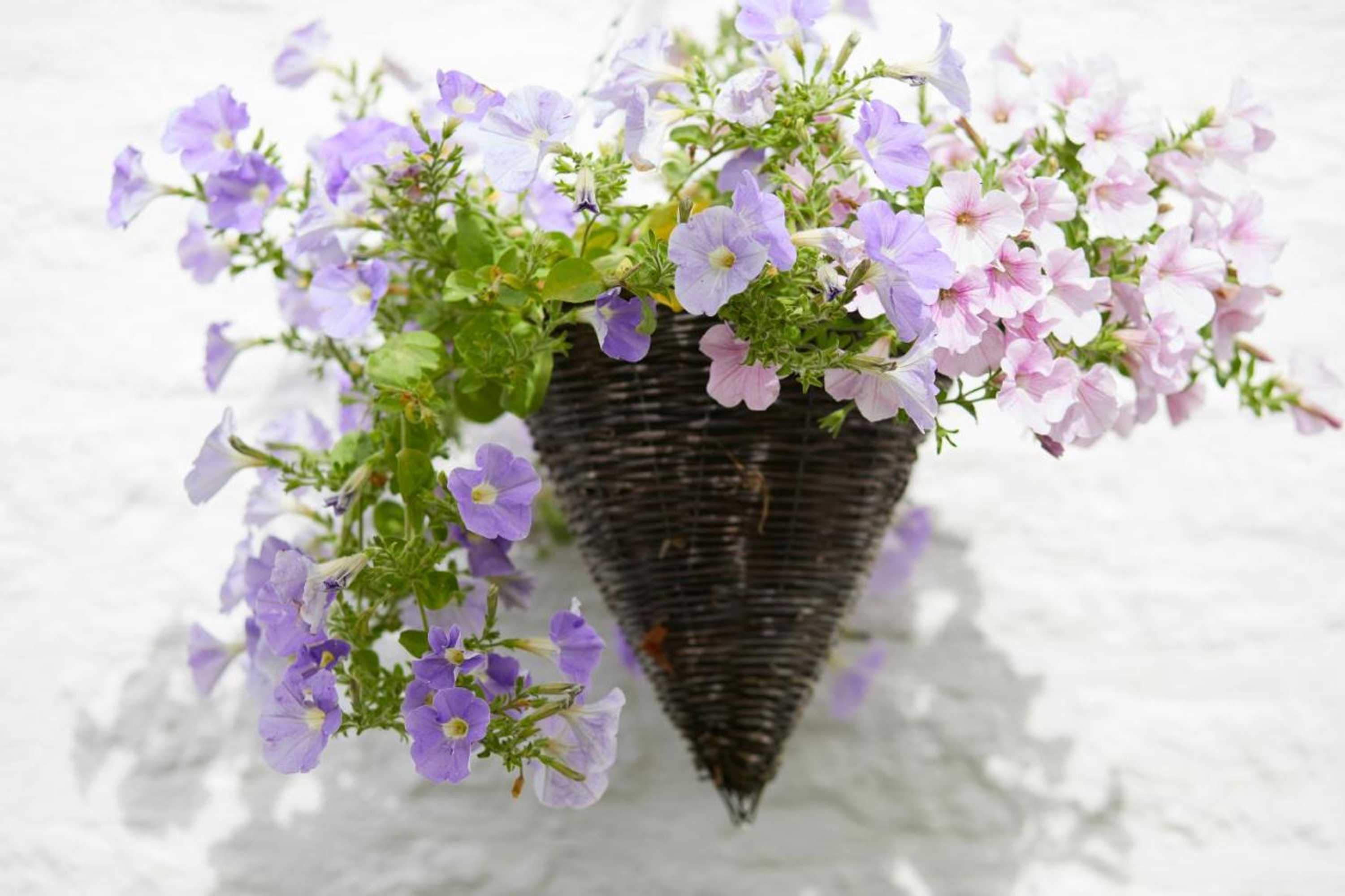 Gift card for The Wheatsheaf Combe Hay