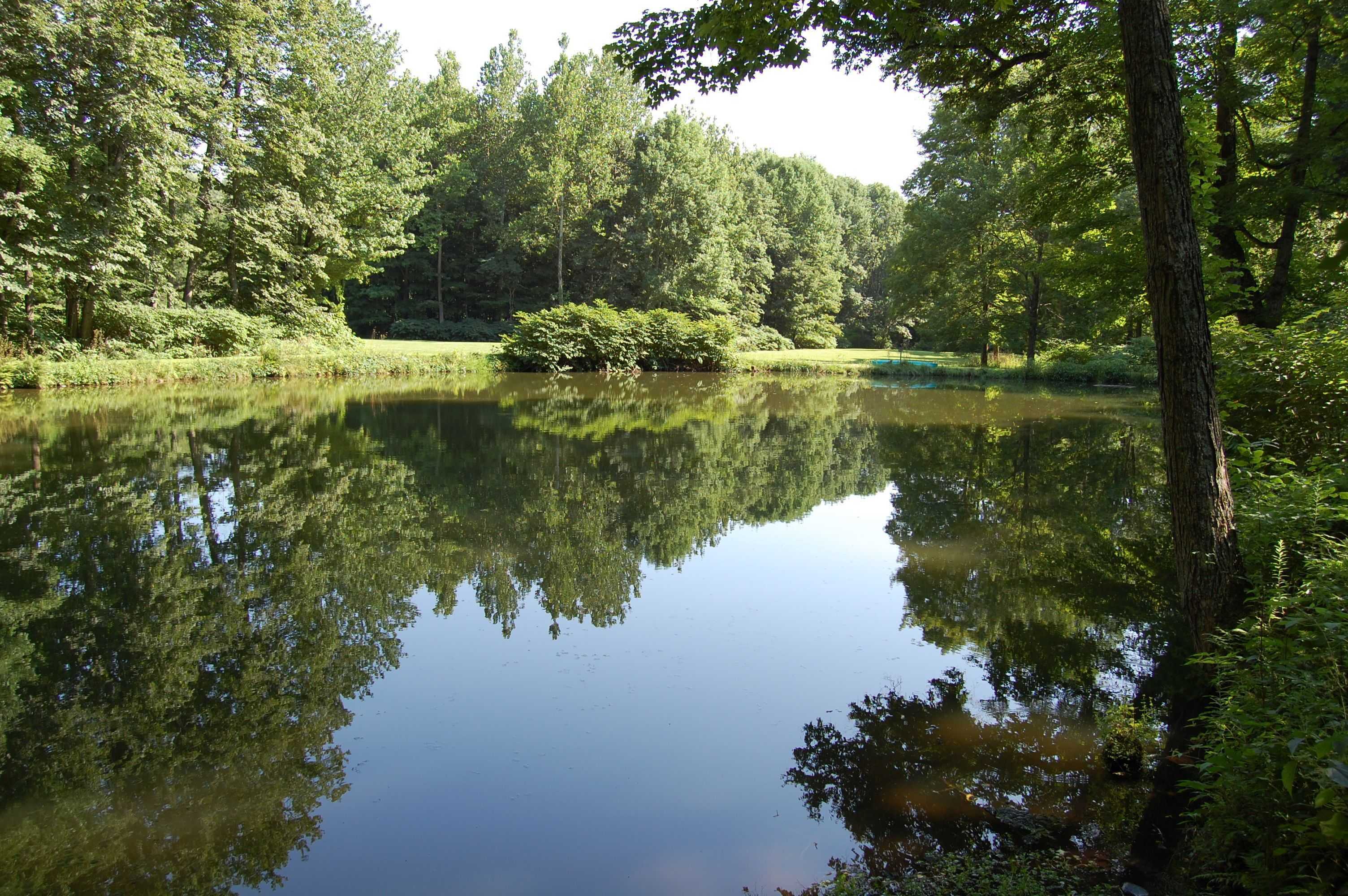 Gift card for Wellnesste Lodge And Cabin Rentals Gift card for Wellnesste Lodge And Cabin Rentals