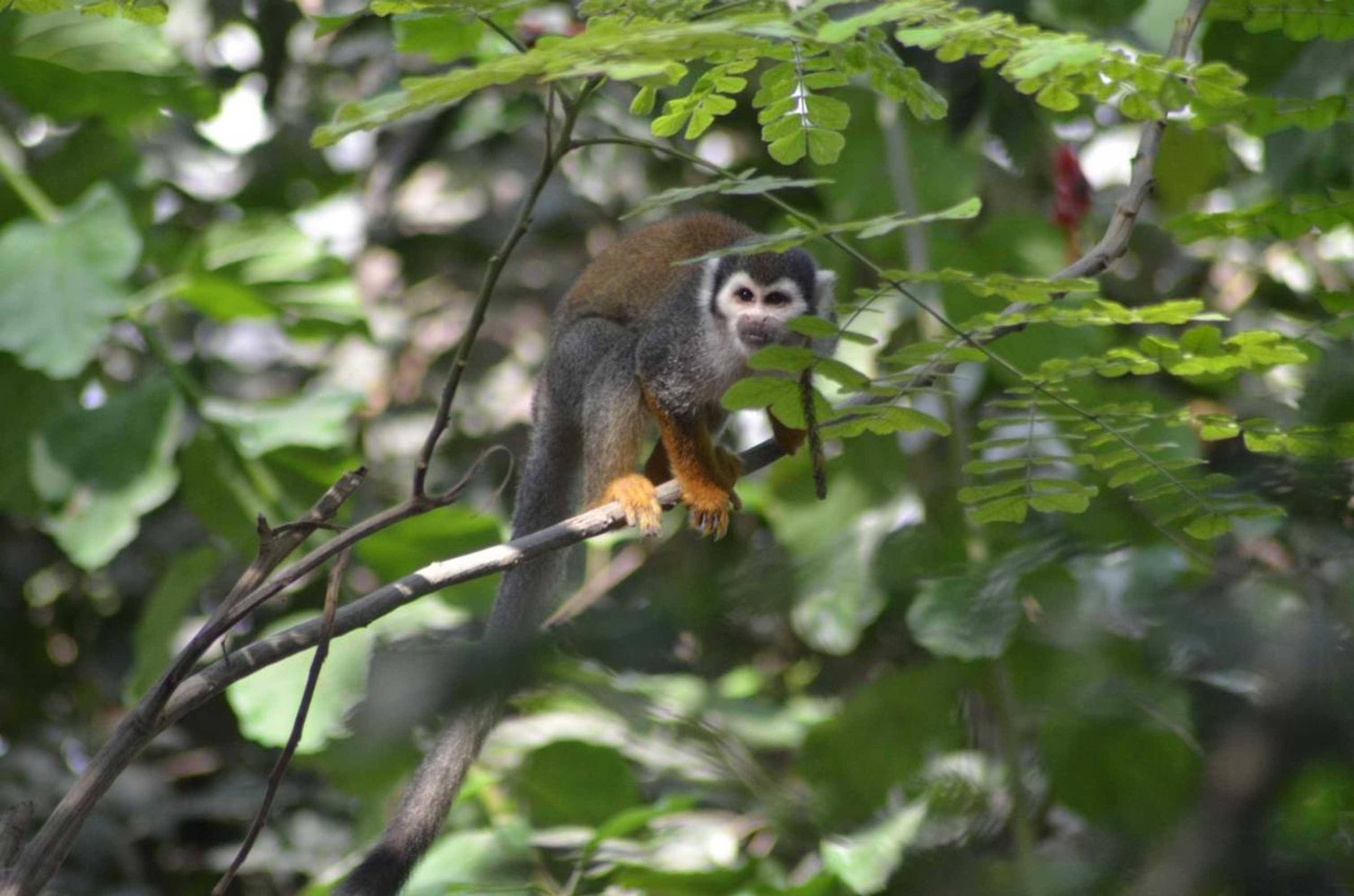 Gift card for Hostería Ecológica El Faro