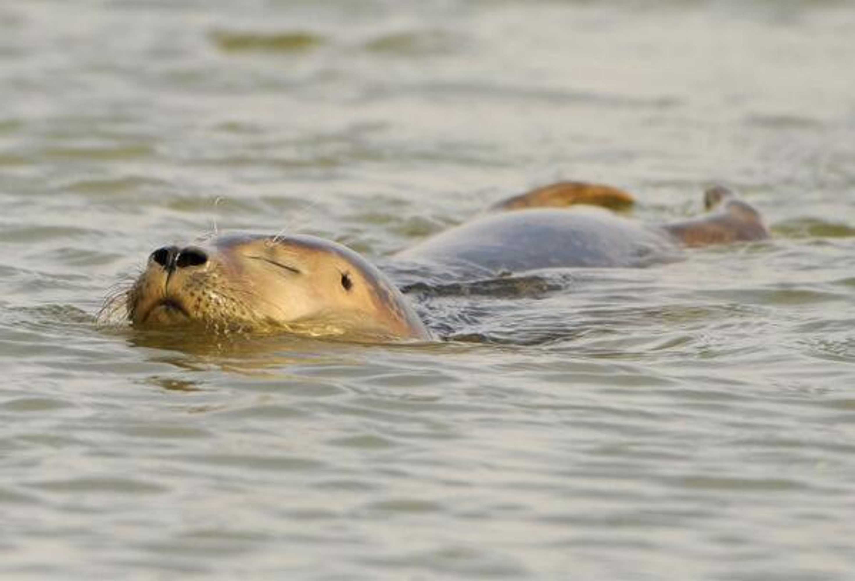 Gift card for Hotel Restaurant It Posthus