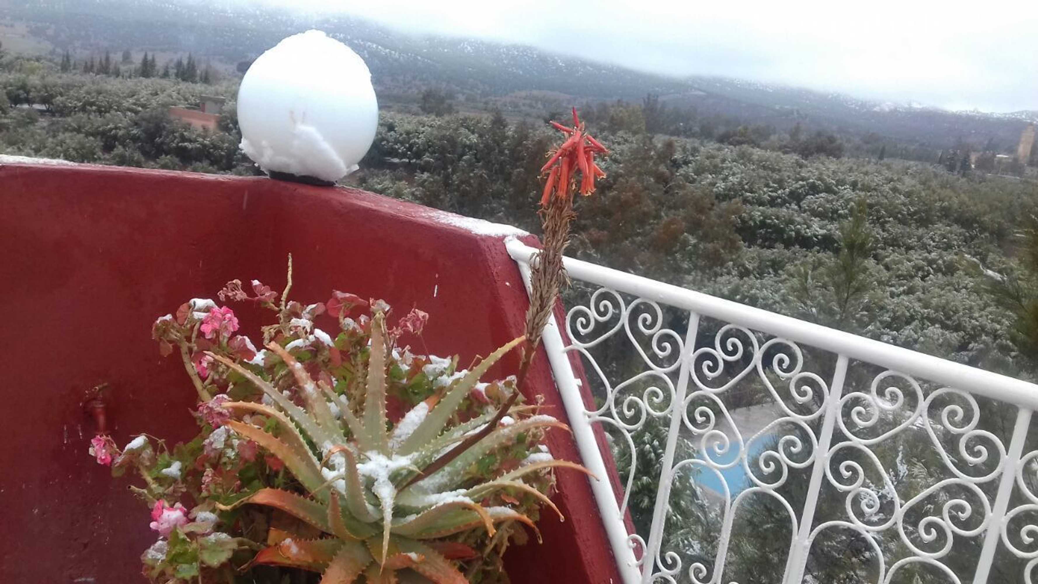 Gift card for Mohatirste