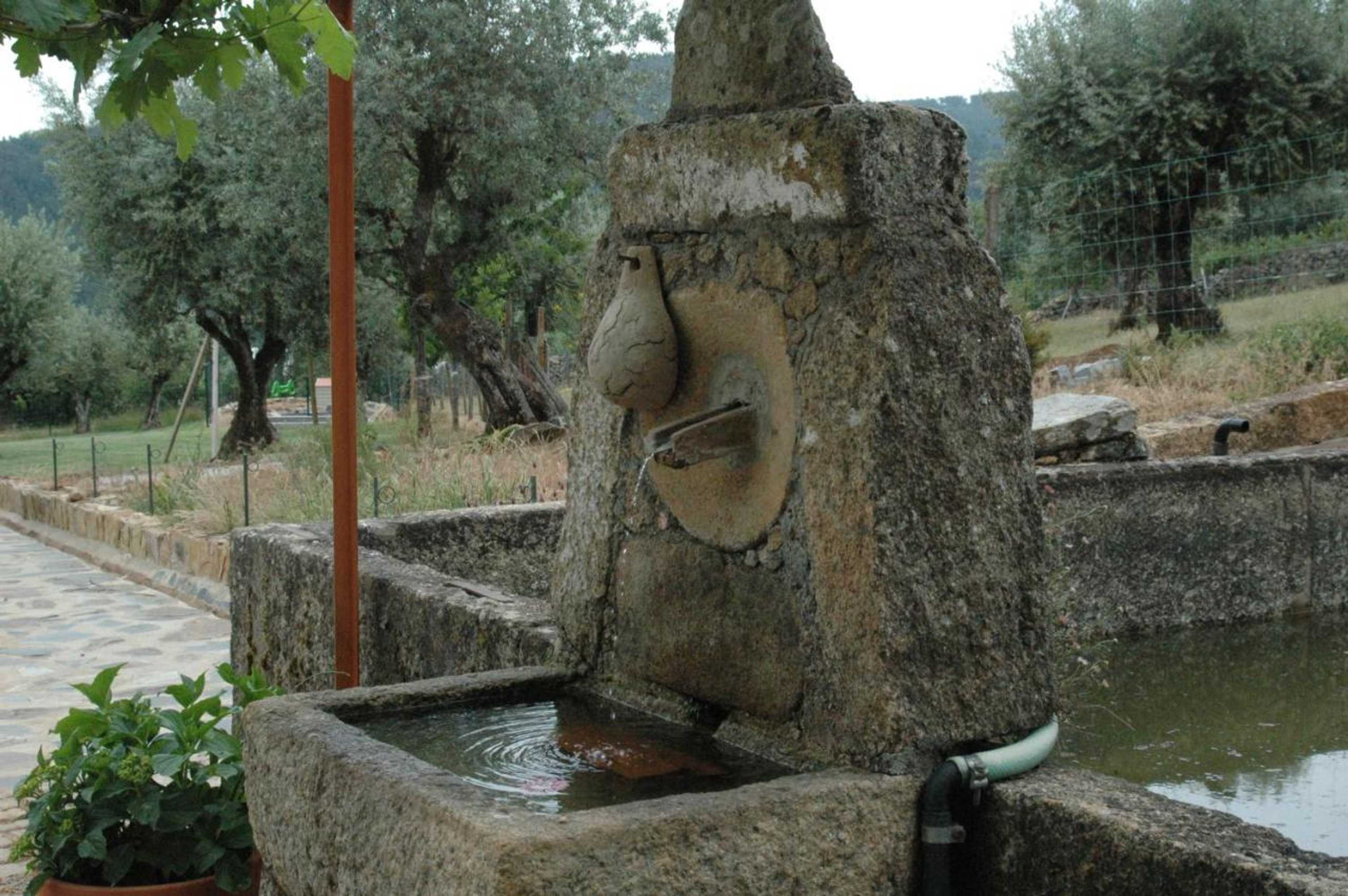 Gift card for Quinta Do Vaqueirinho - Agro-Turismo