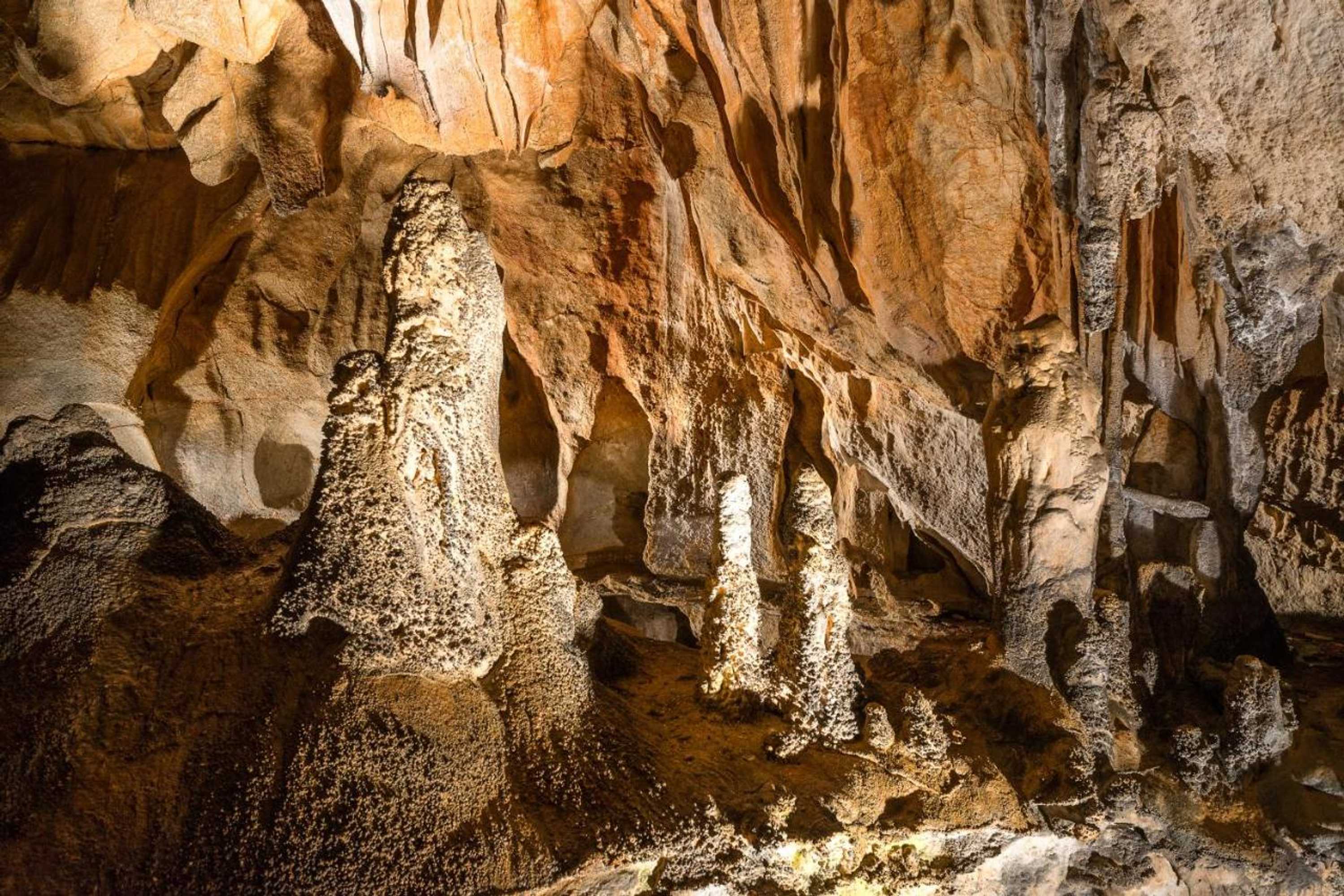 Gift card for Camping Village Zrmanja