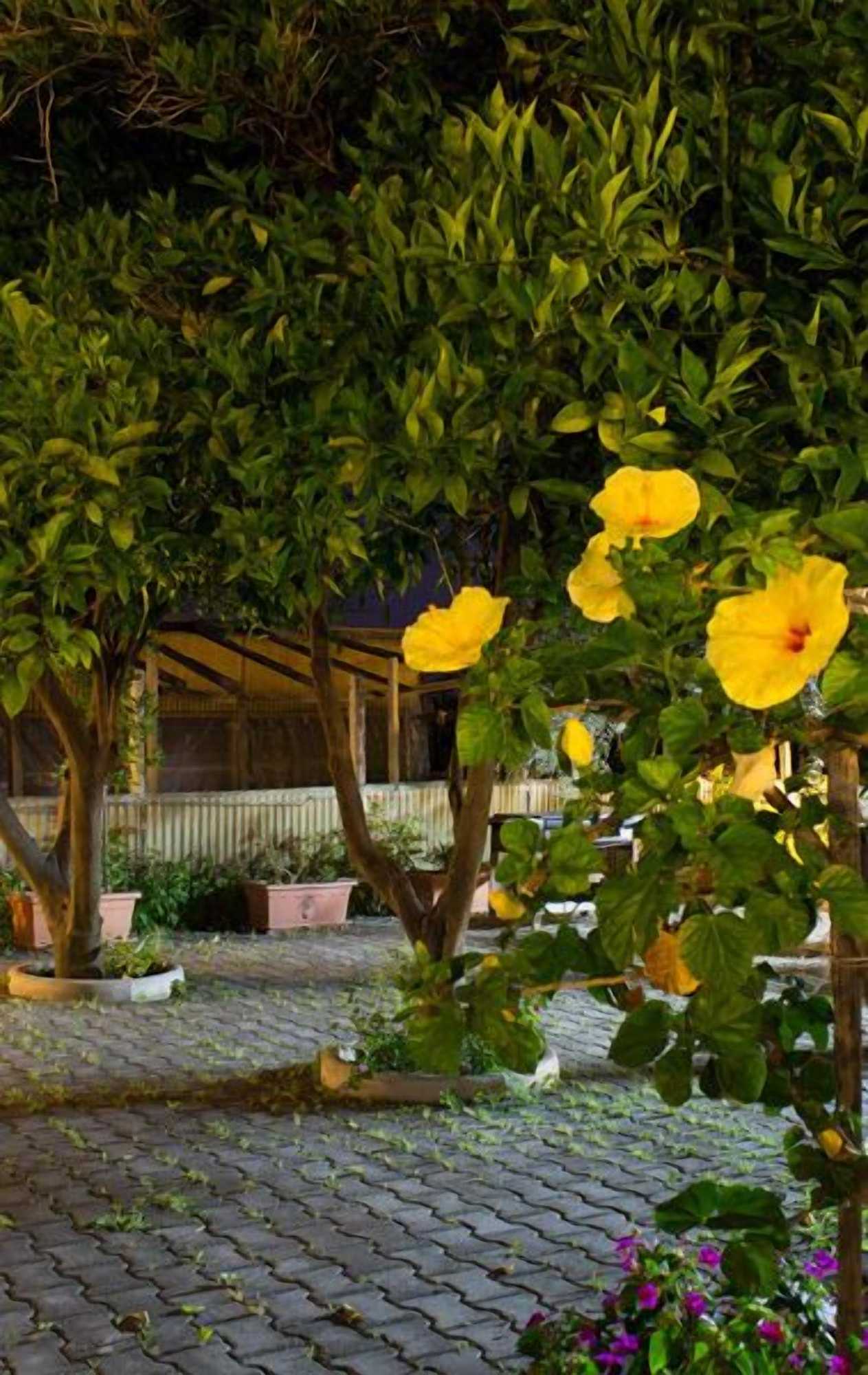 Gift card for Agriturismo Il Gelsomino Ritrovato Gift card for Agriturismo Il Gelsomino Ritrovato