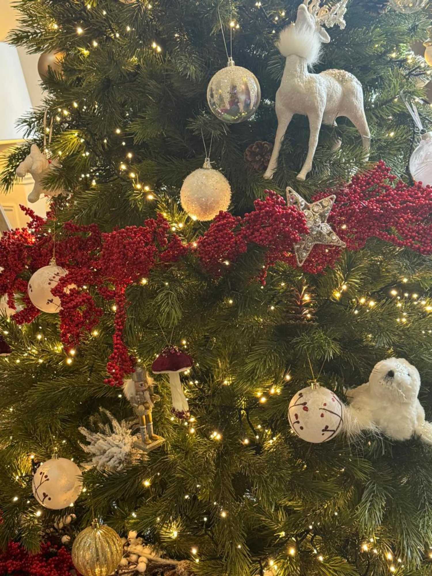 Gift card for The Westlynne Hotel & Apartments