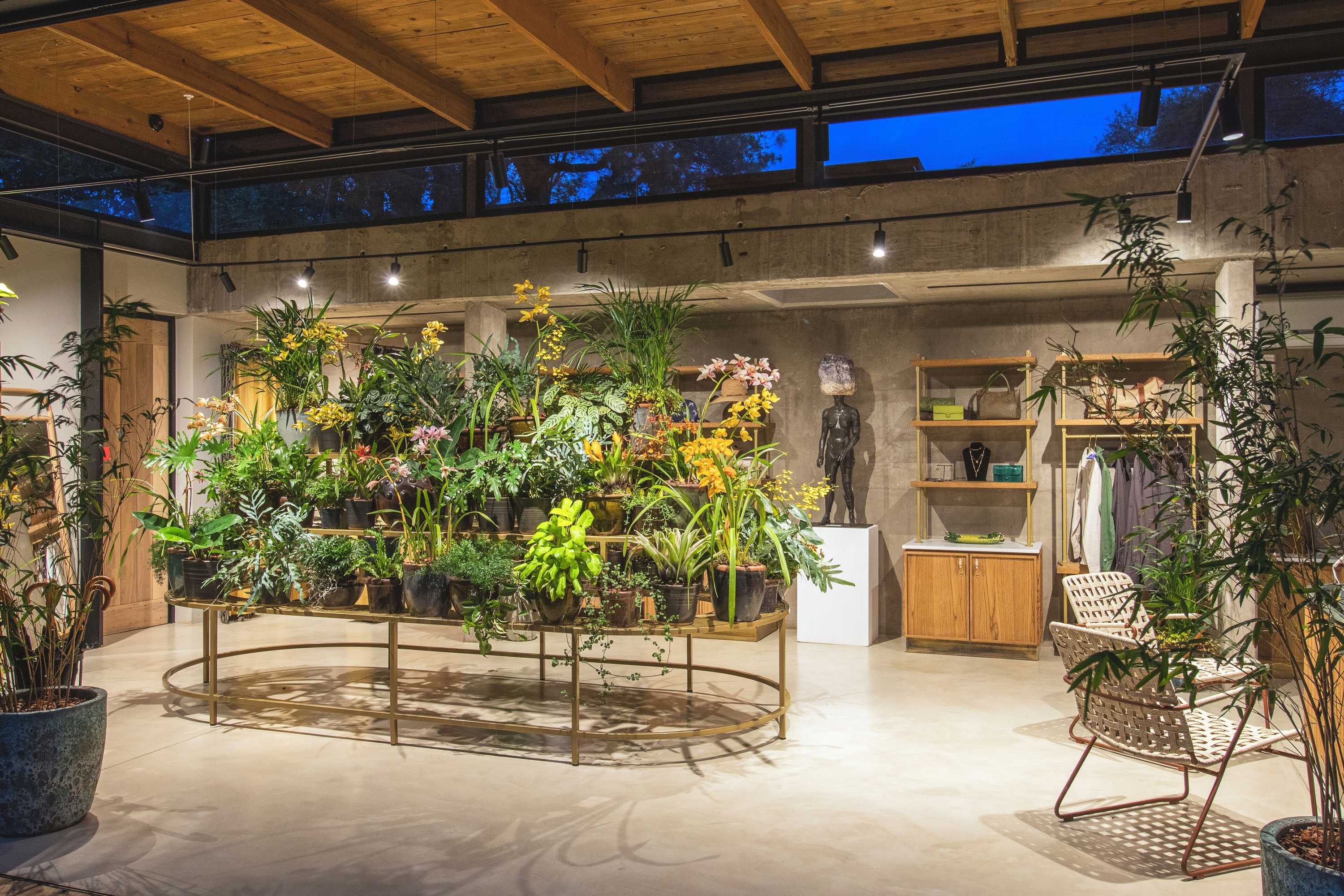 Gift card for Lion Sands Ivory Lodge Gift card for Lion Sands Ivory Lodge