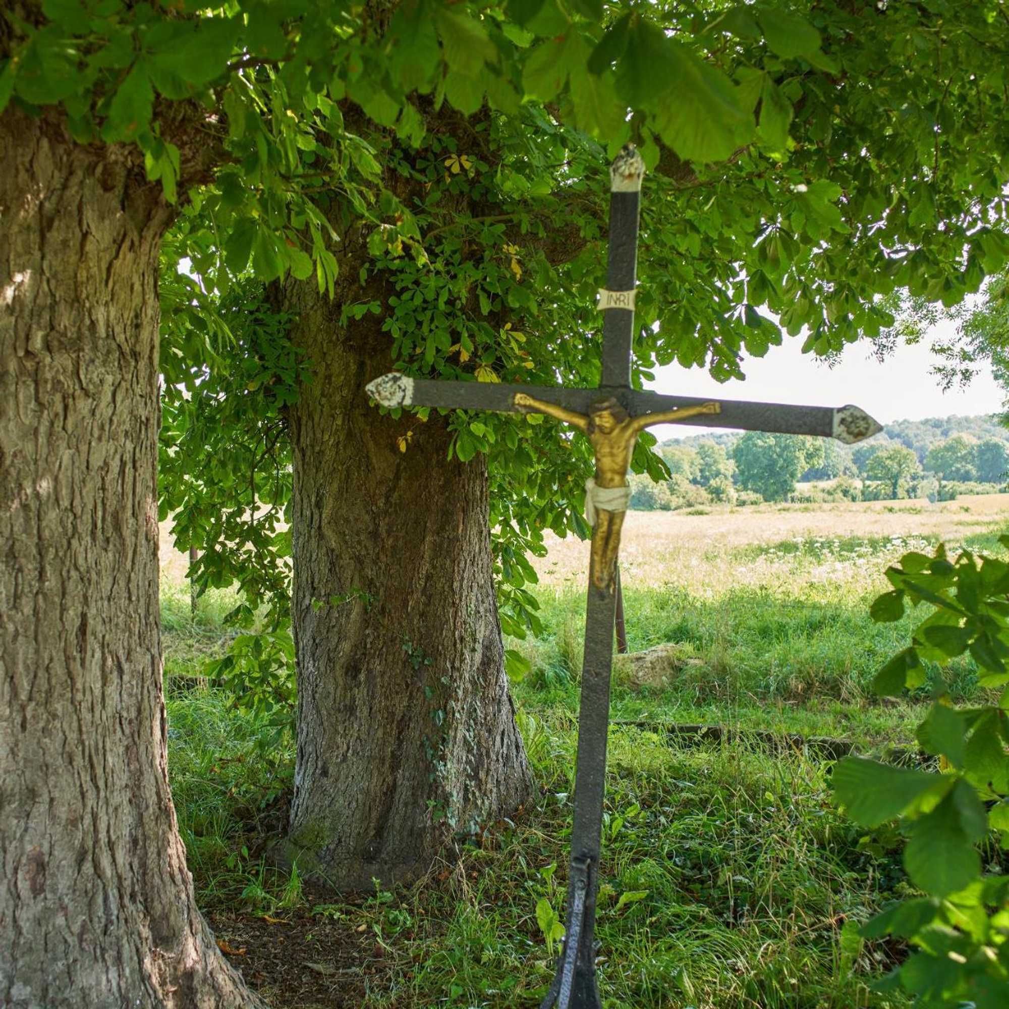 Gift card for B&b Bij Tante Toos