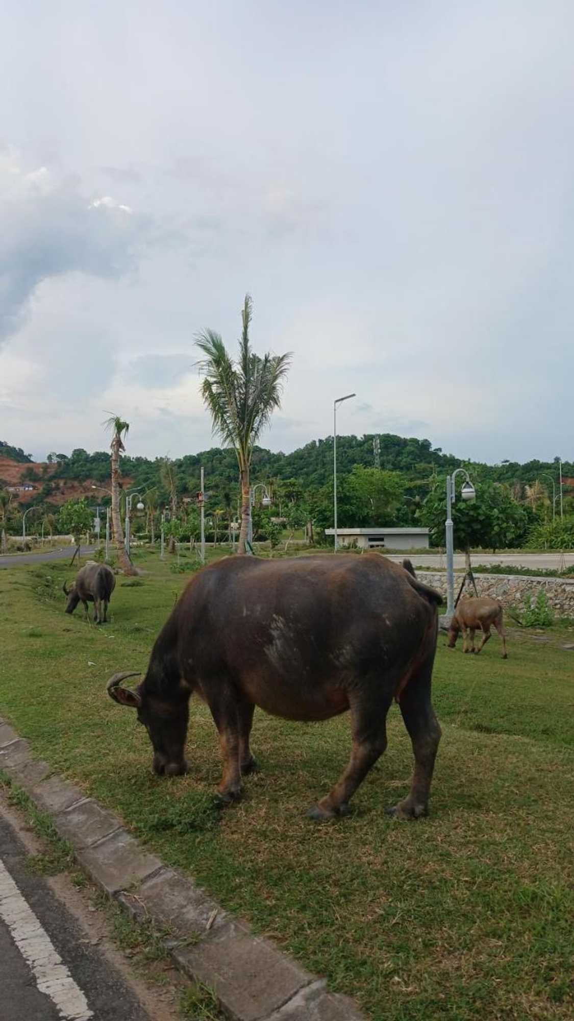 Gift card for Roby Homestay