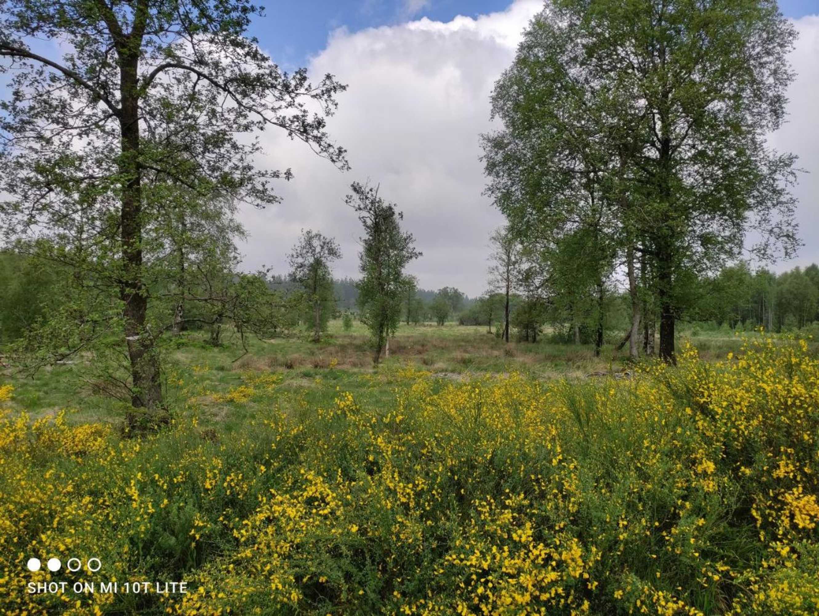 Gift card for Gästehaus Kuck