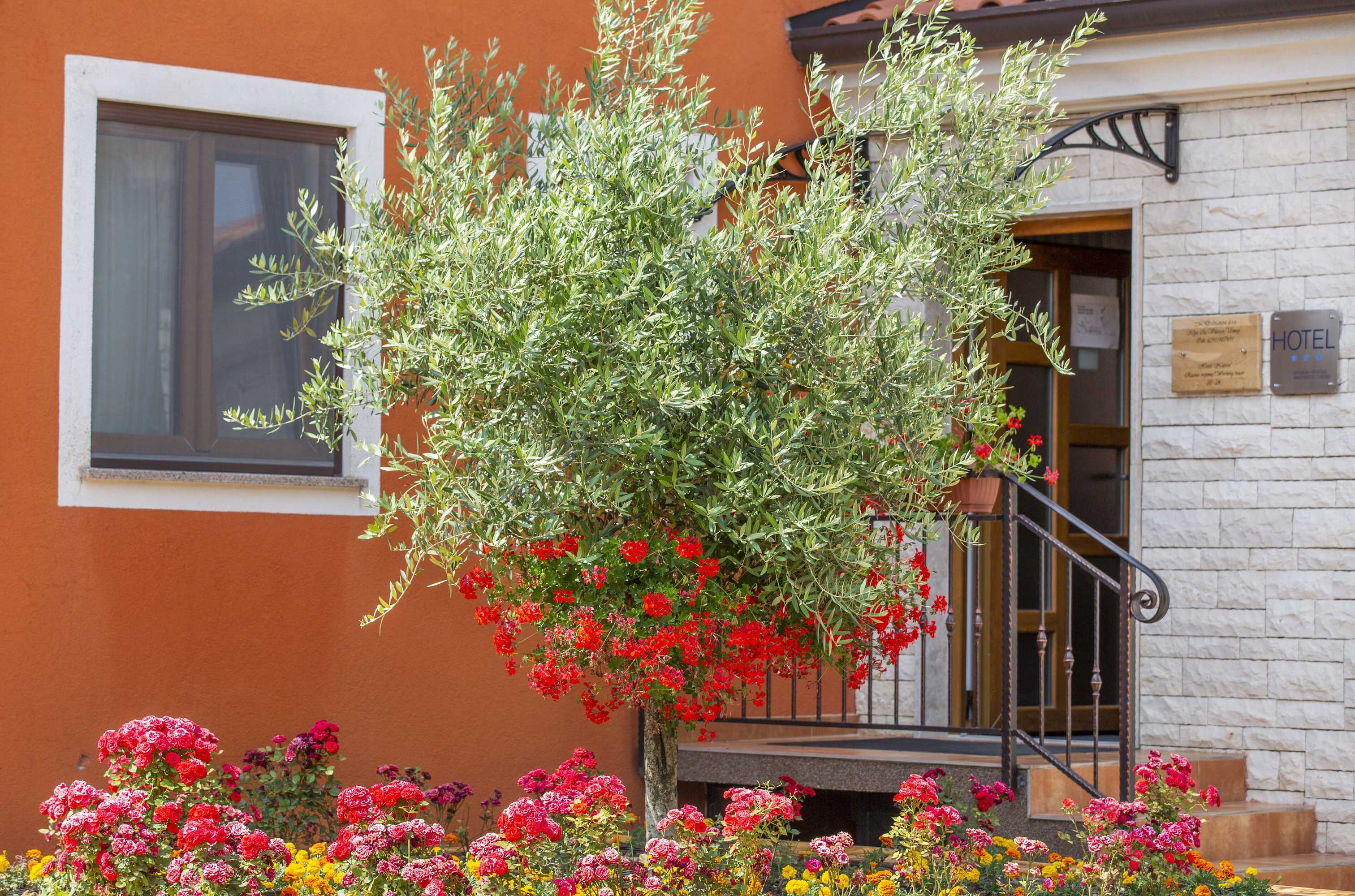 Gift card for Hotel Natura