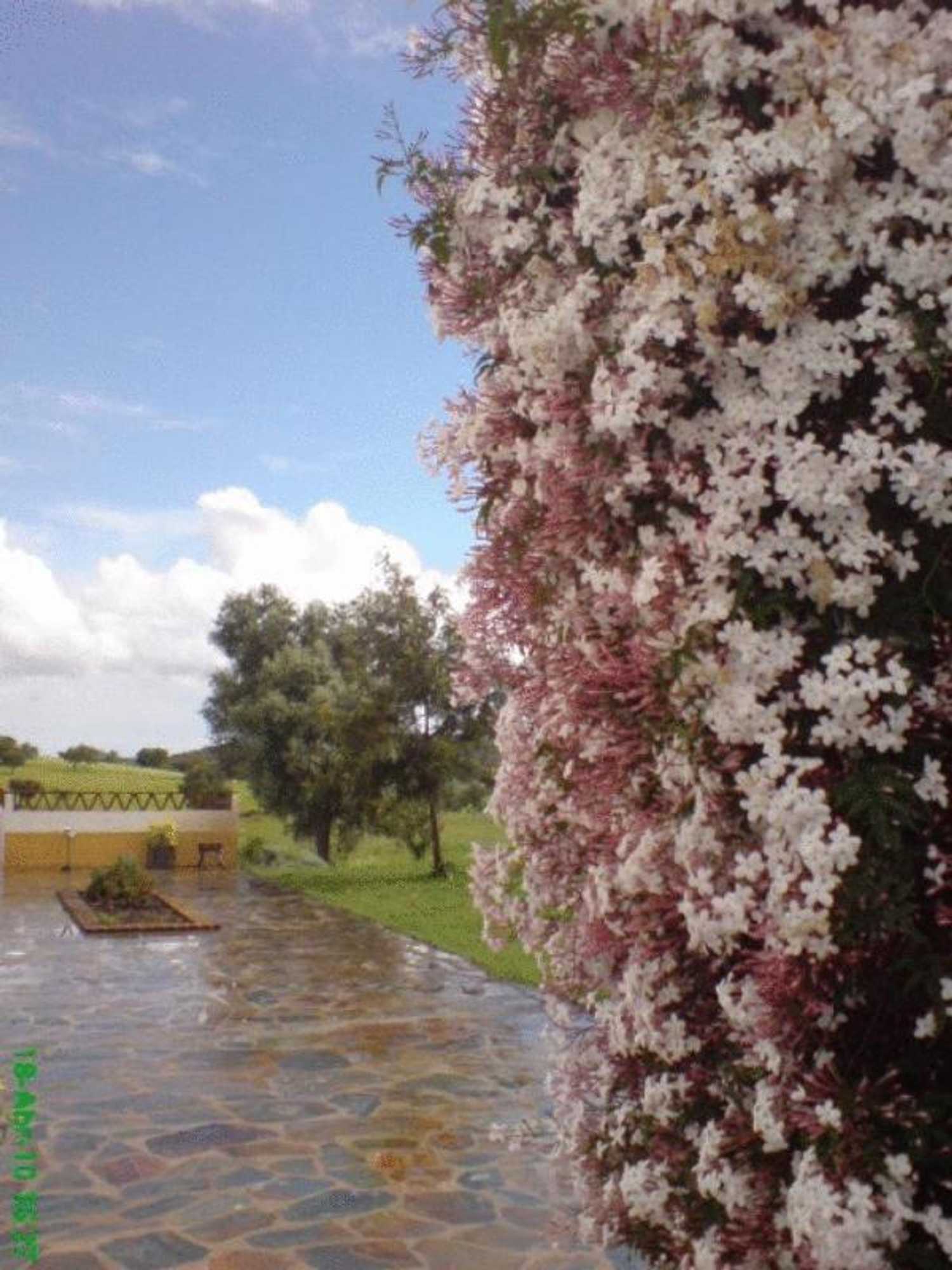 Gift card for Naveterra-Hotel Rural