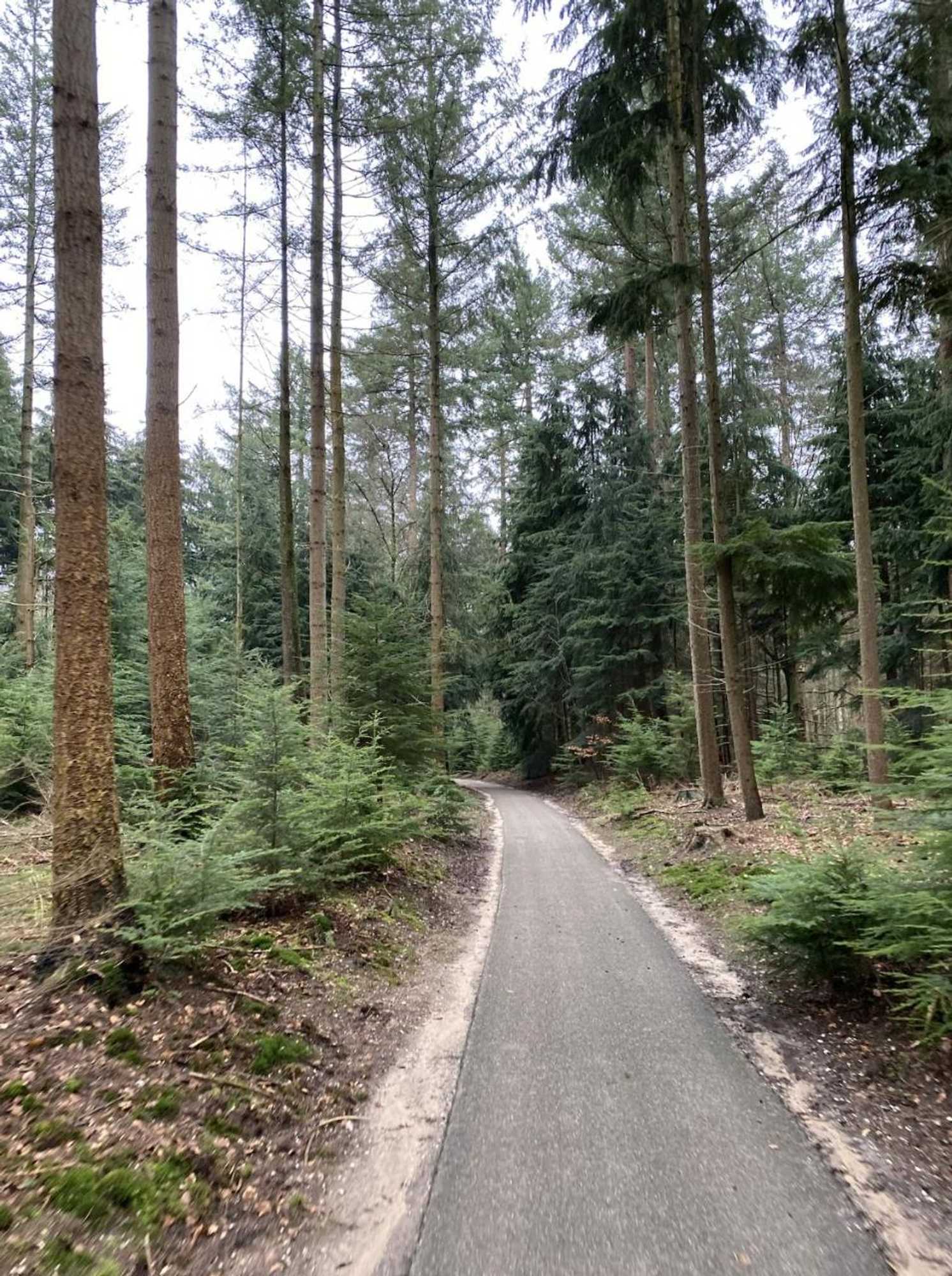 Gift card for Hotel De Werelt Garderen