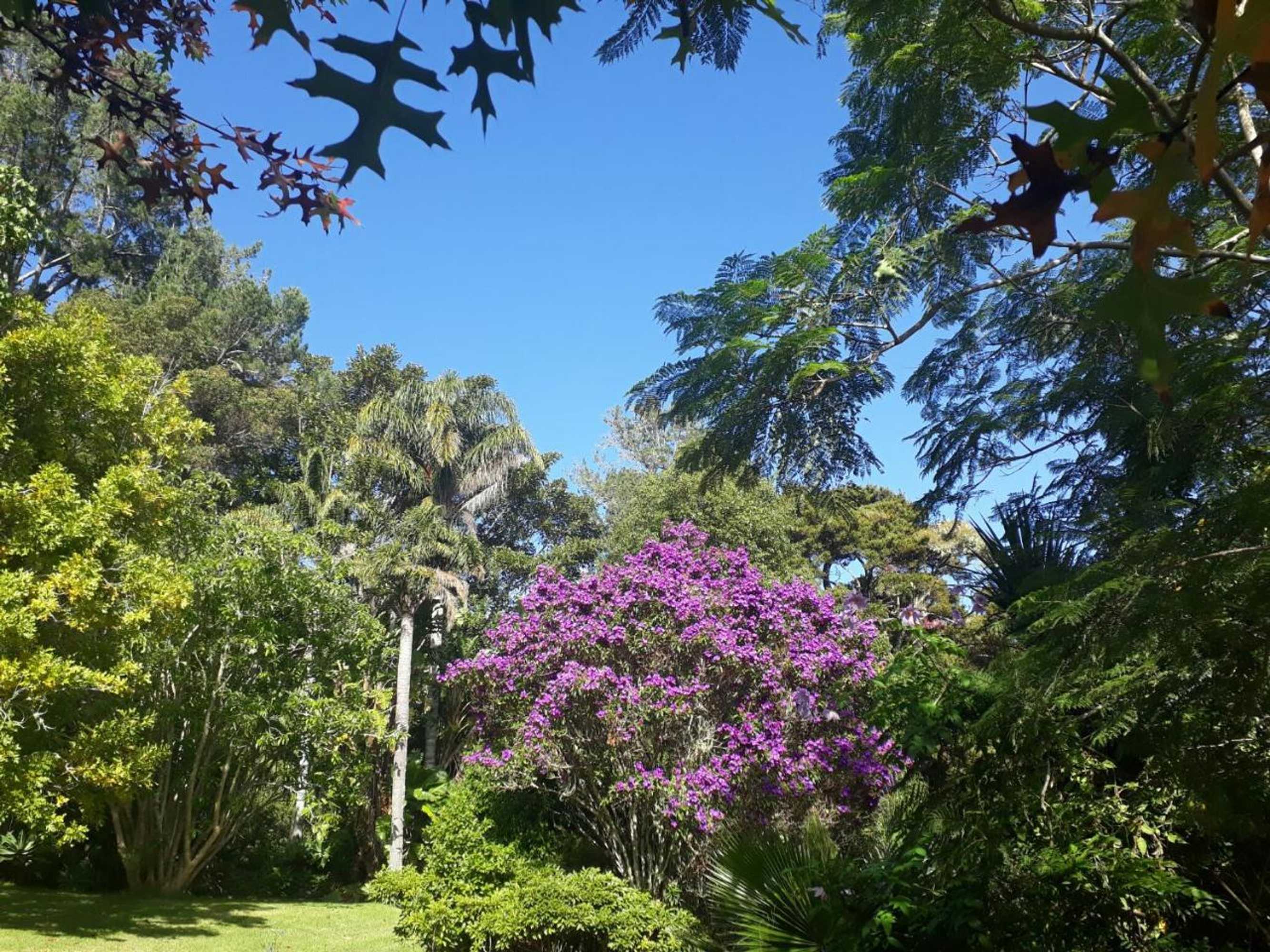 Gift card for Takou River Lodge 