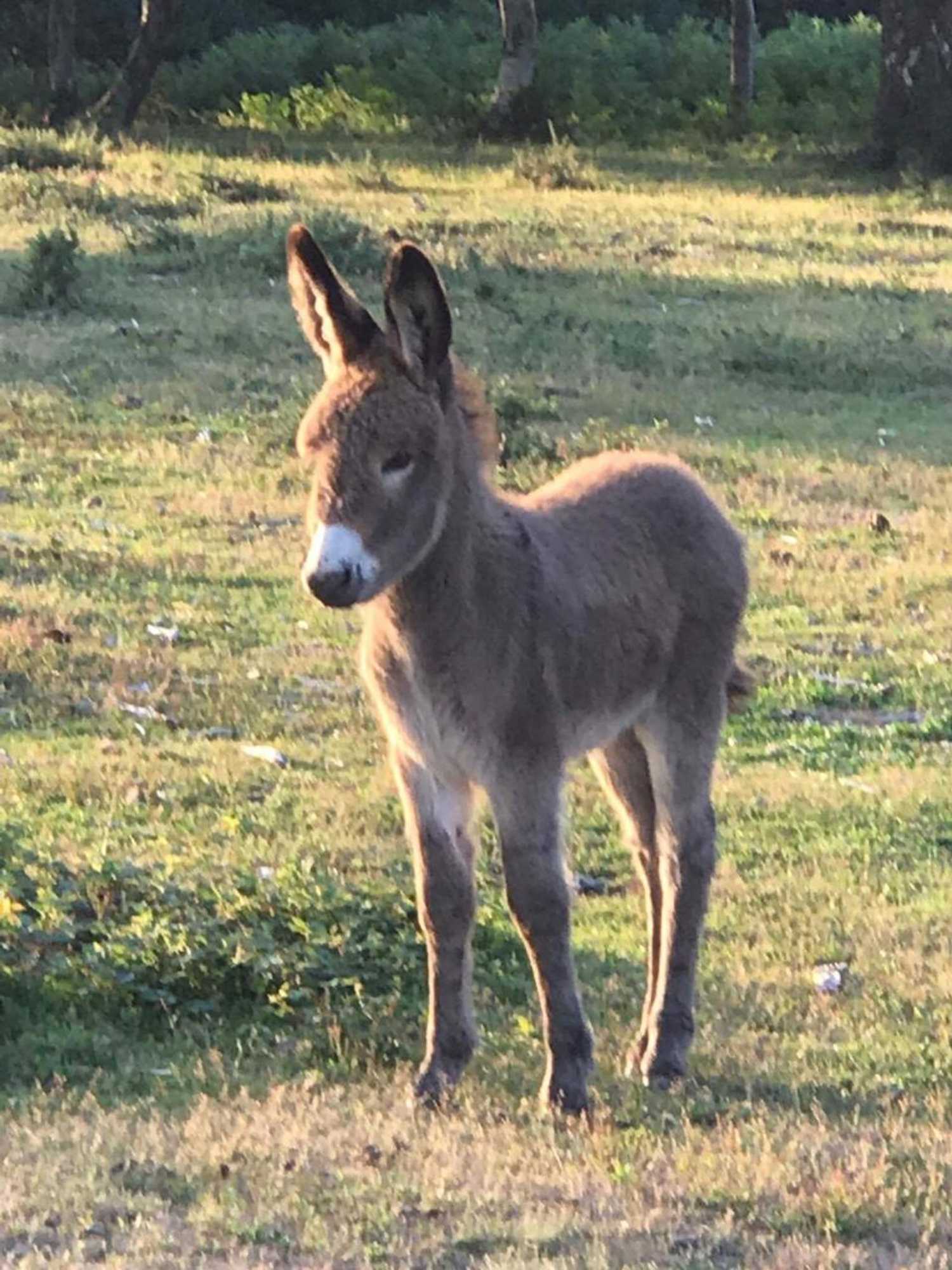 Gift card for Cypress Log Cabins Accommodation Gift card for Cypress Log Cabins Accommodation