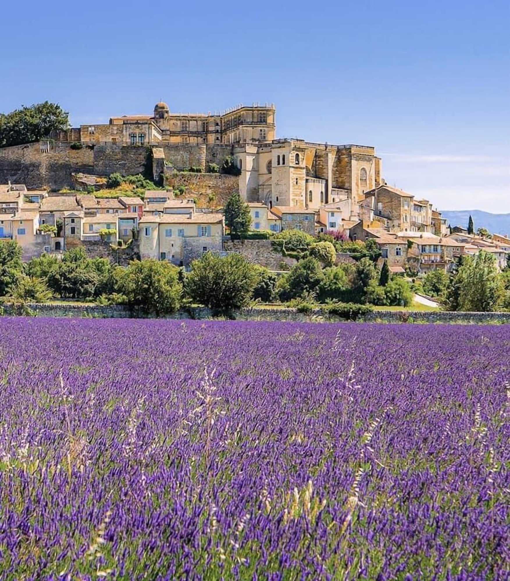 Gift card for Domaine DU Moulin DE Villefranche Gift card for Domaine DU Moulin DE Villefranche