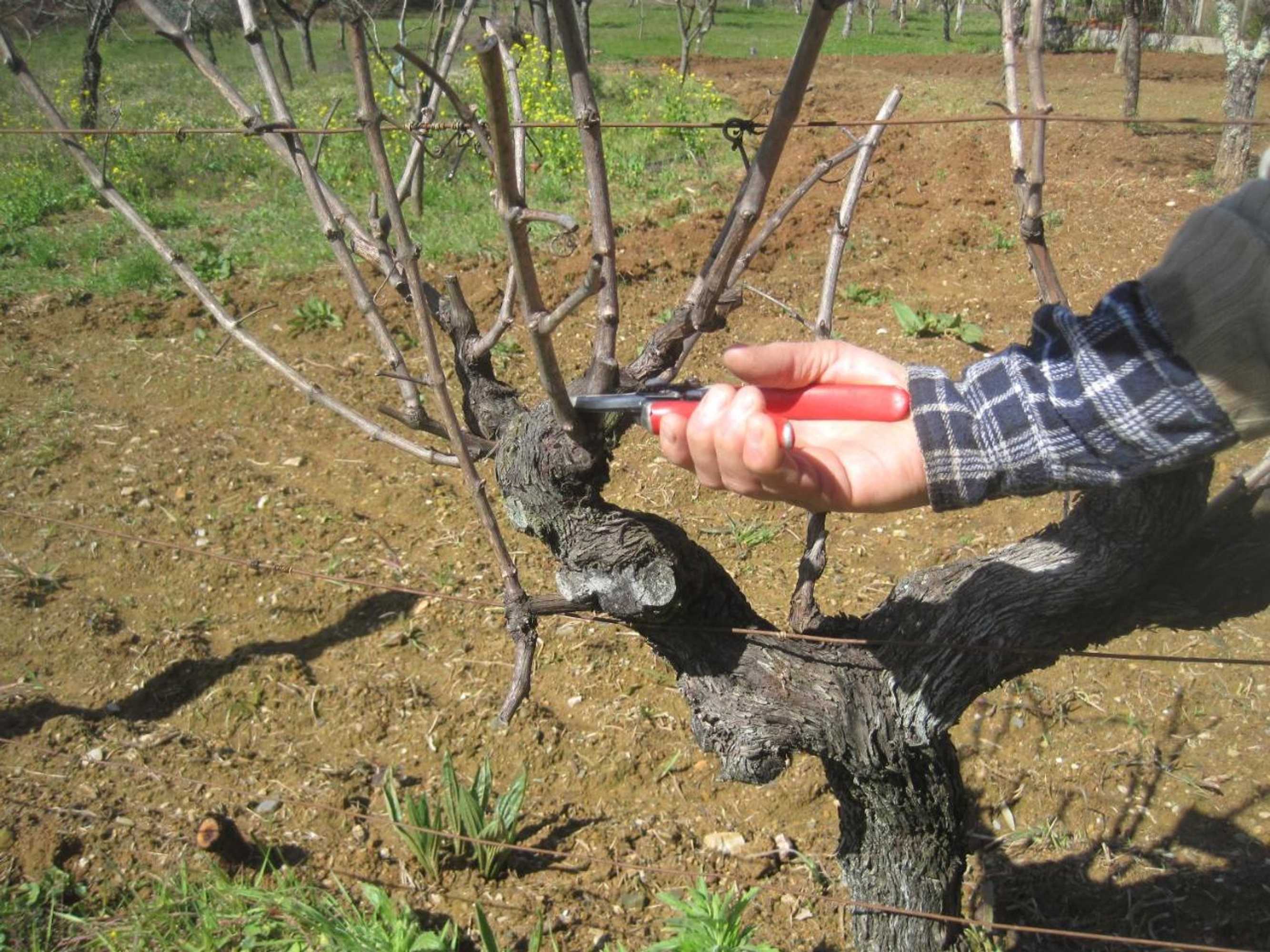 Gift card for Casa do Retiro