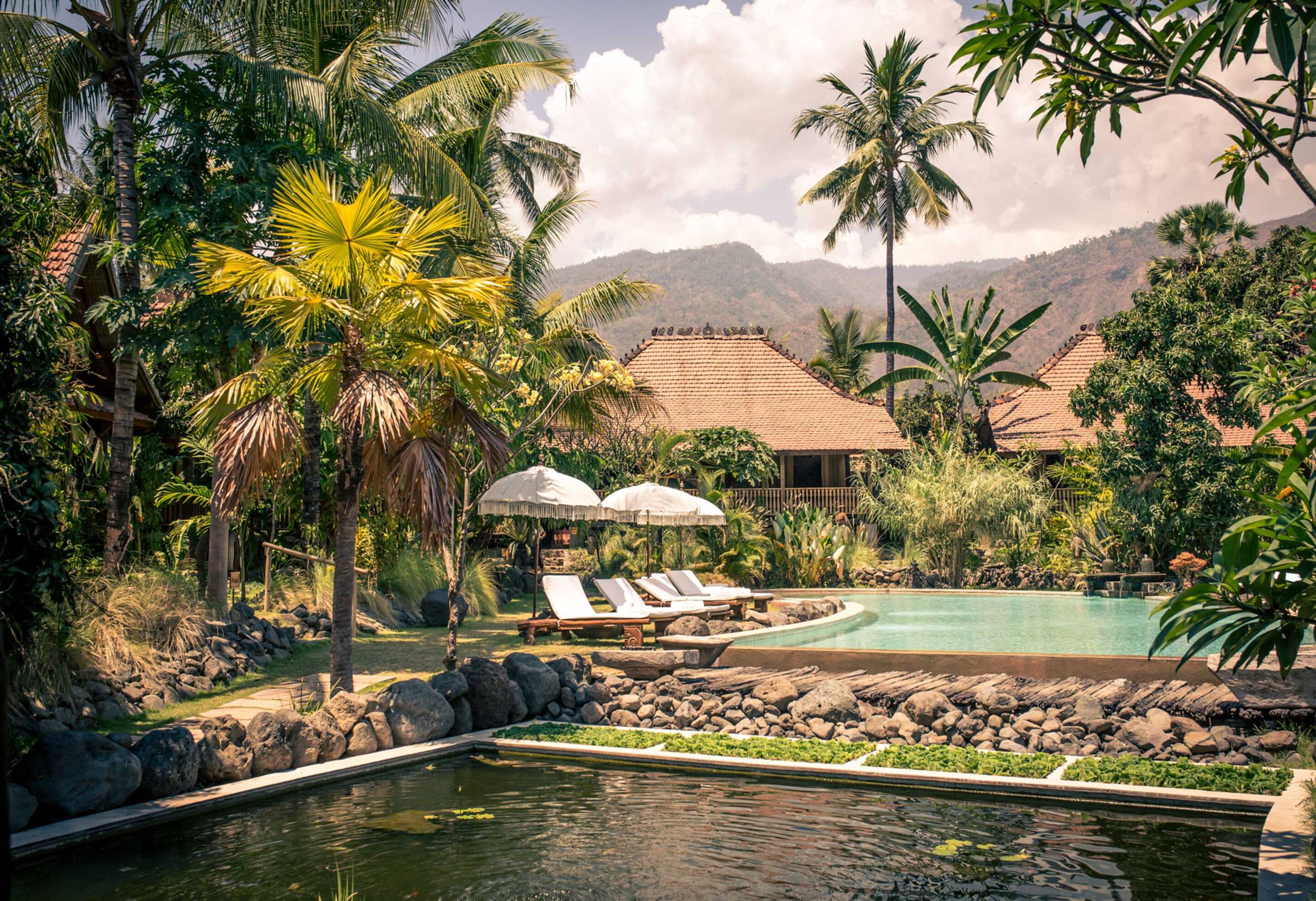 Gift card for Desa Saya Eco Luxury Resort & Spa Gift card for Desa Saya Eco Luxury Resort & Spa