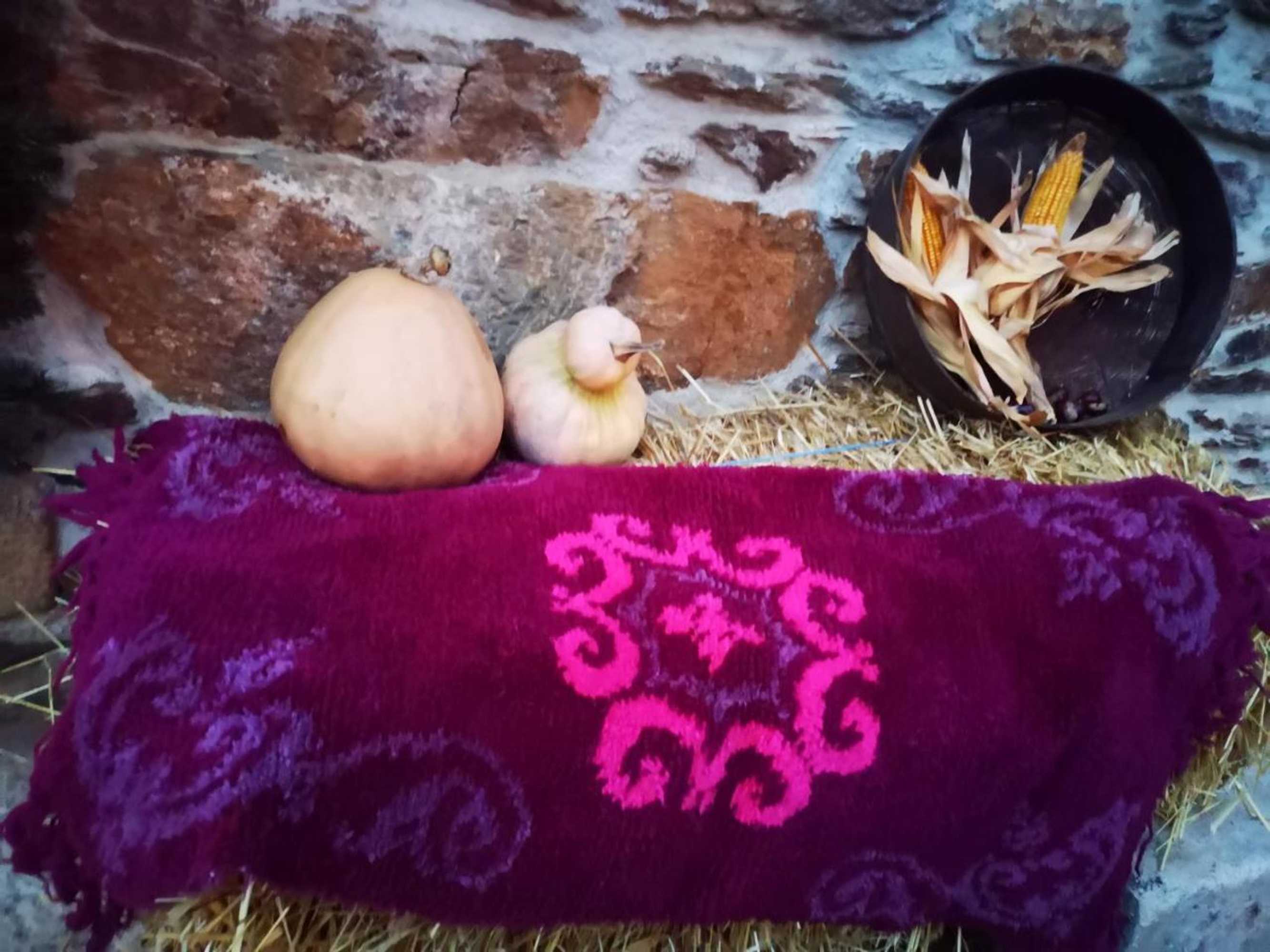 Gift card for Casa de Campo Dos Távoras Gift card for Casa de Campo Dos Távoras