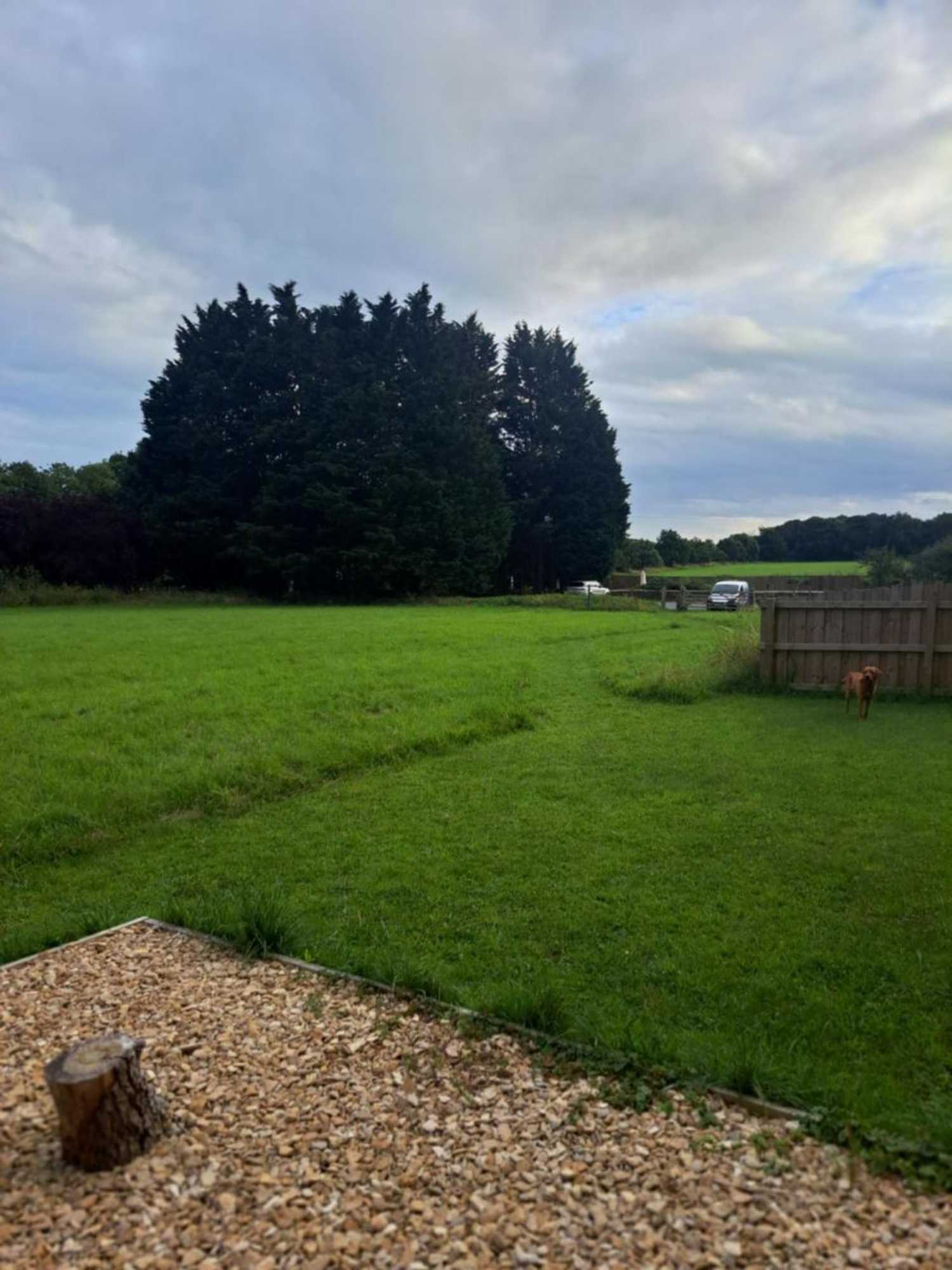 Gift card for Trouble House