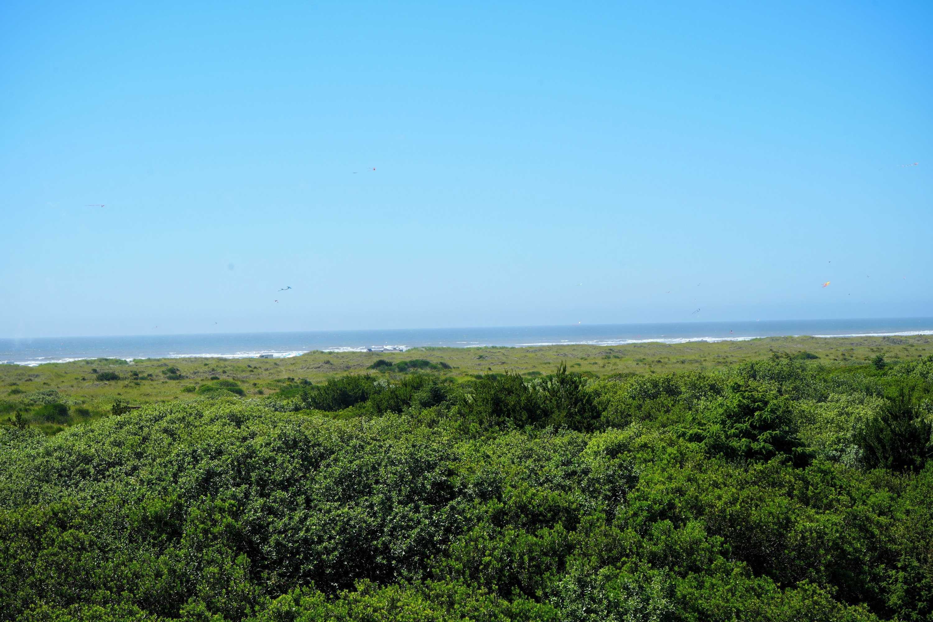 Gift card for Ocean Paradise Hotel & Resort