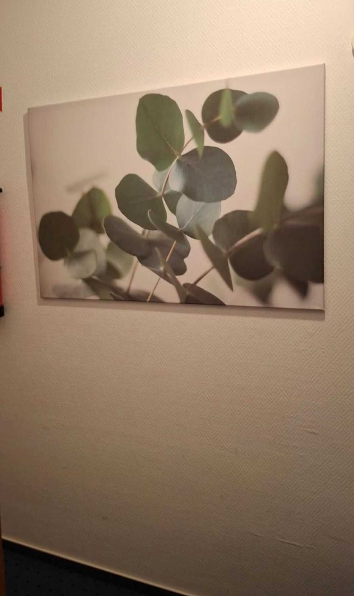 Gift card for Hotel Zur Altstadt