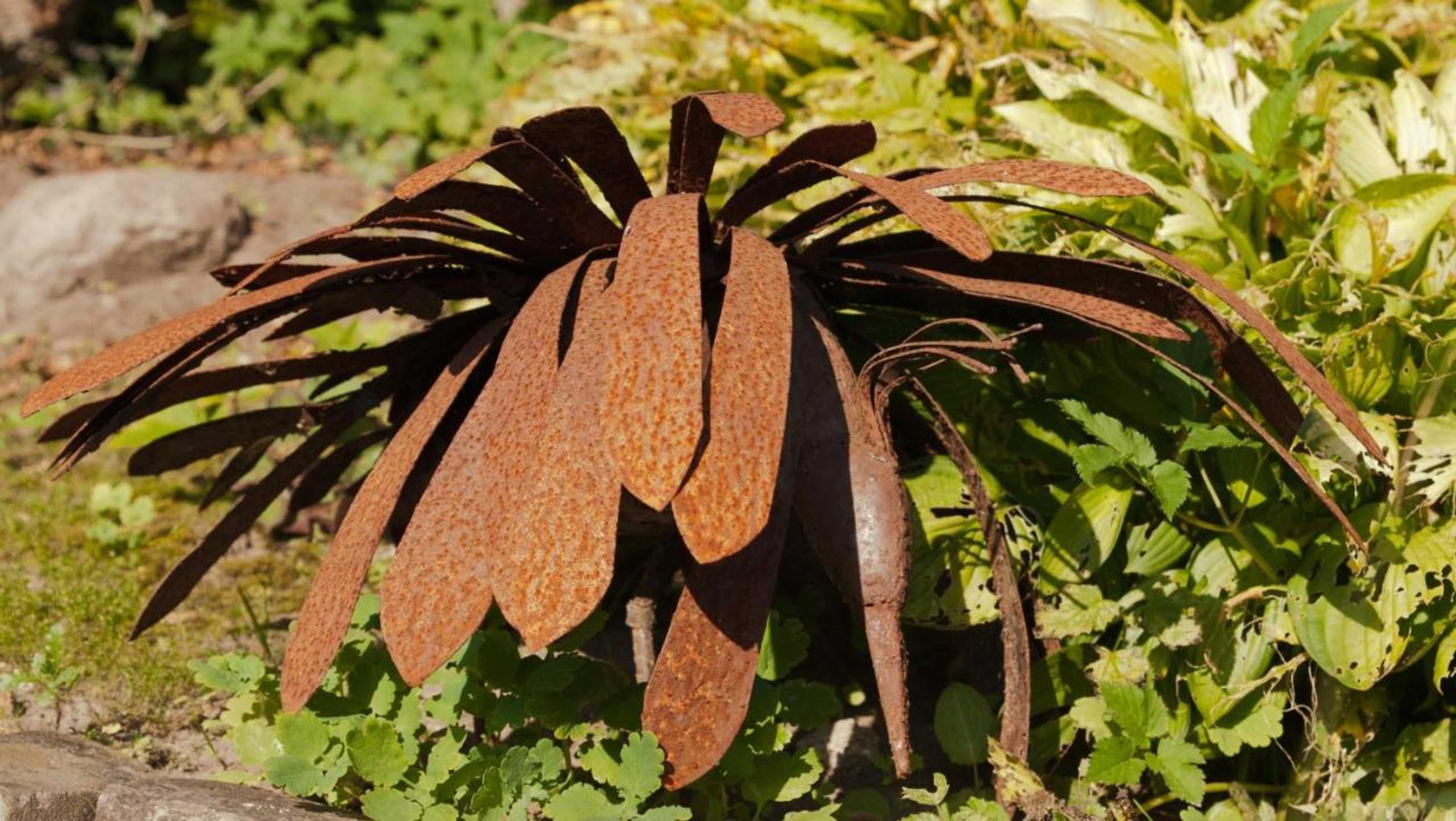 Gift card for Bed And Breakfast De Violier