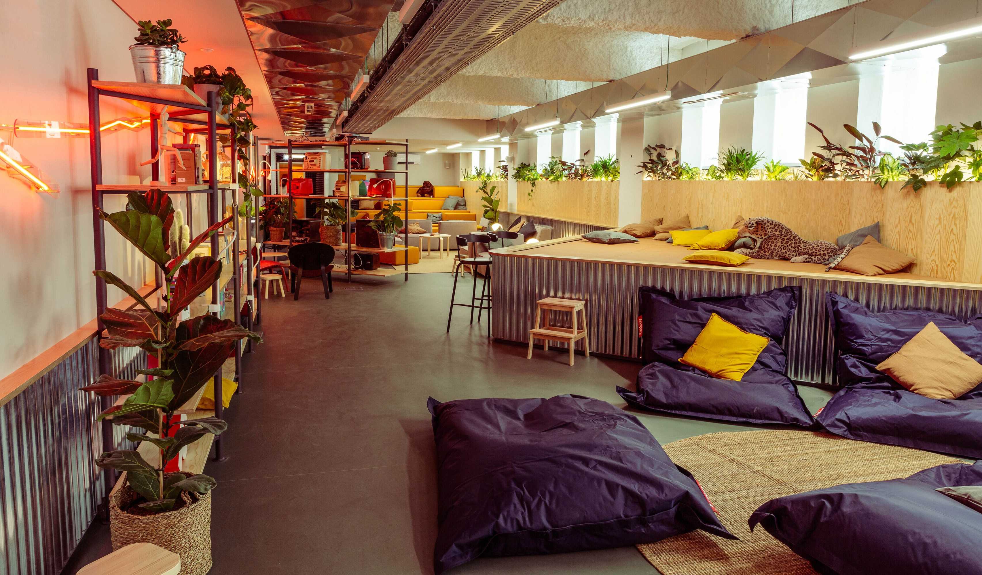 Gift card for Micampus Covilhã