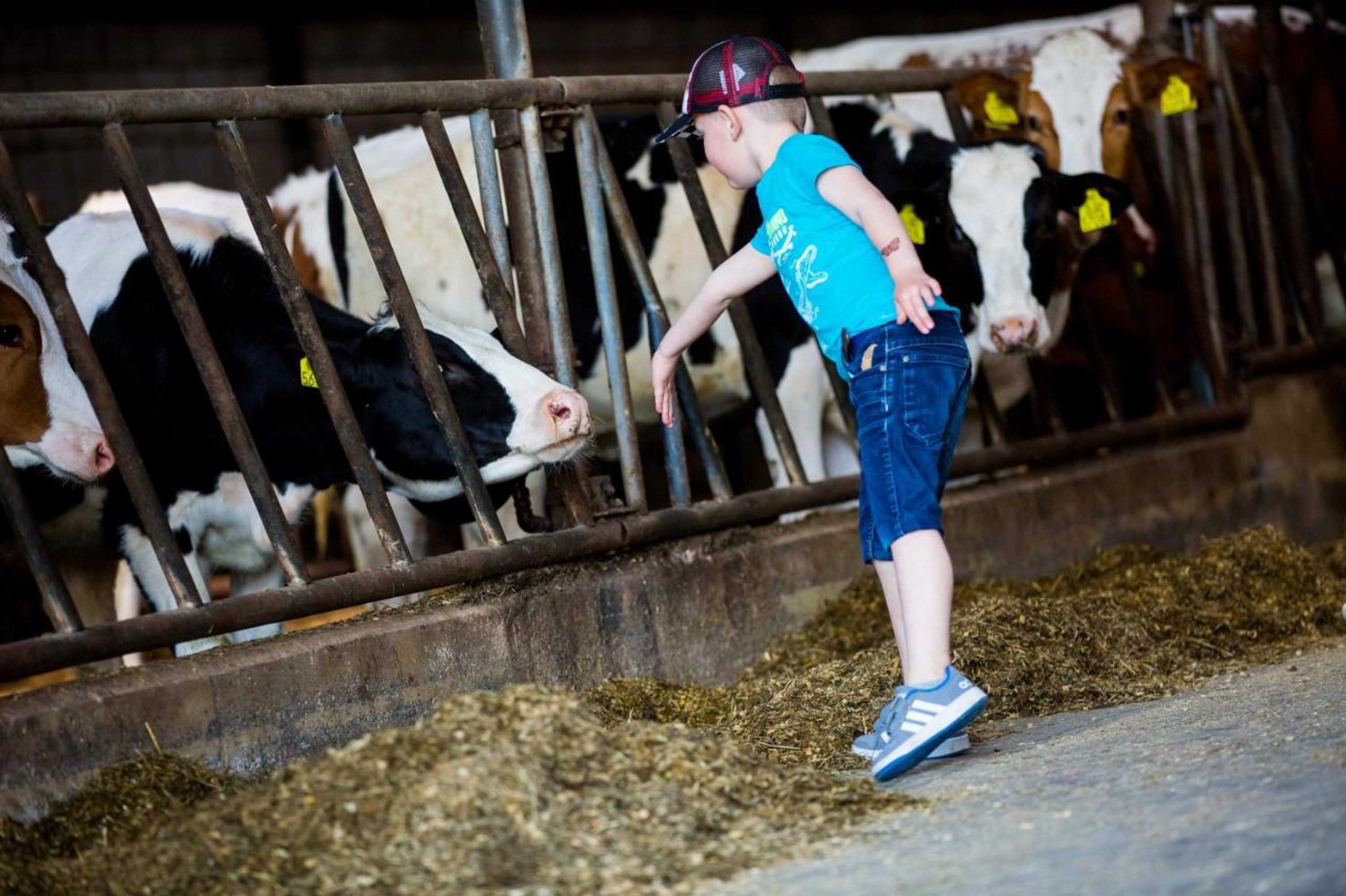 Gift card for B&b De Volkelse Hooiberg