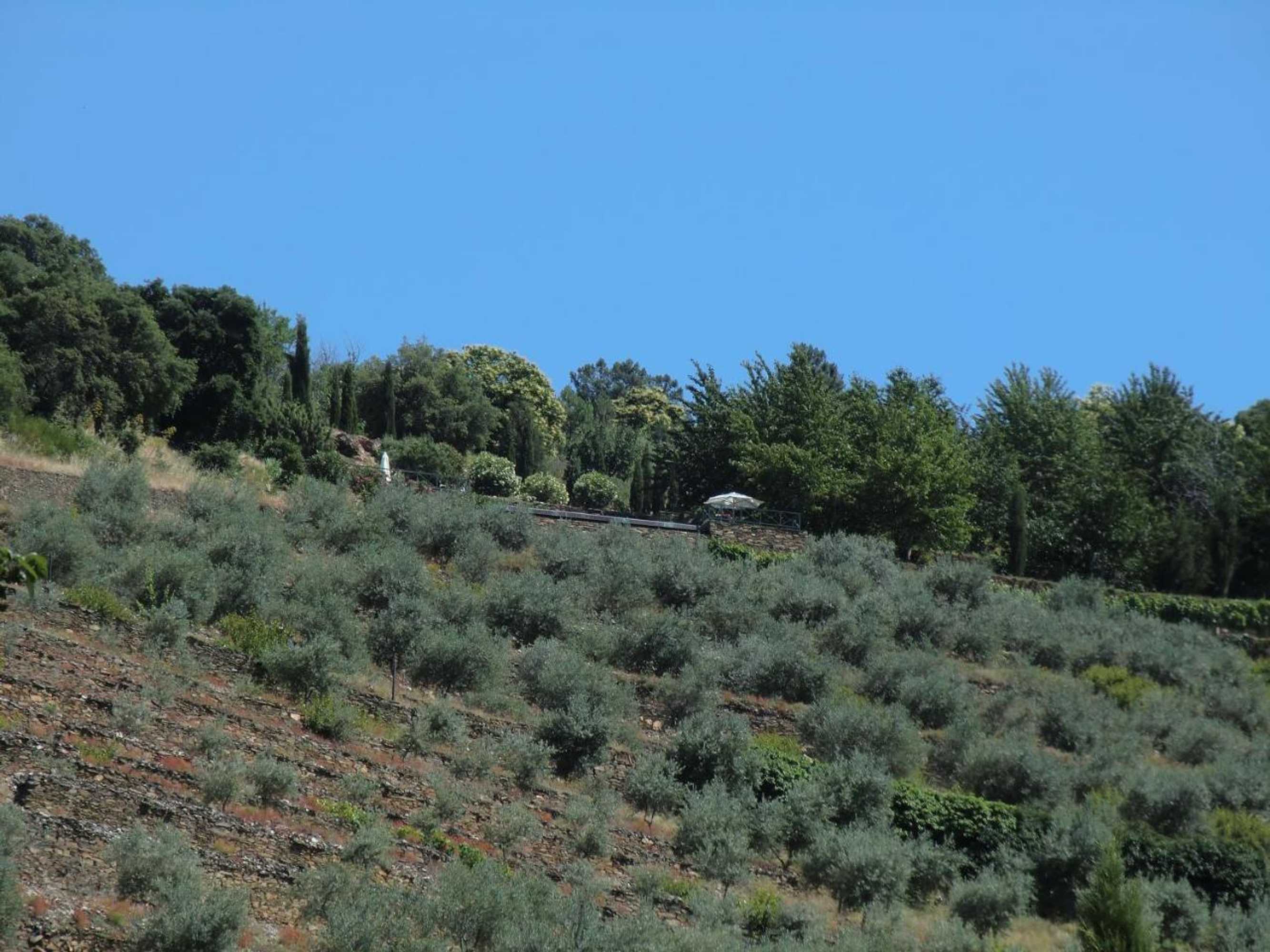 Gift card for Quinta Das Aveleiras