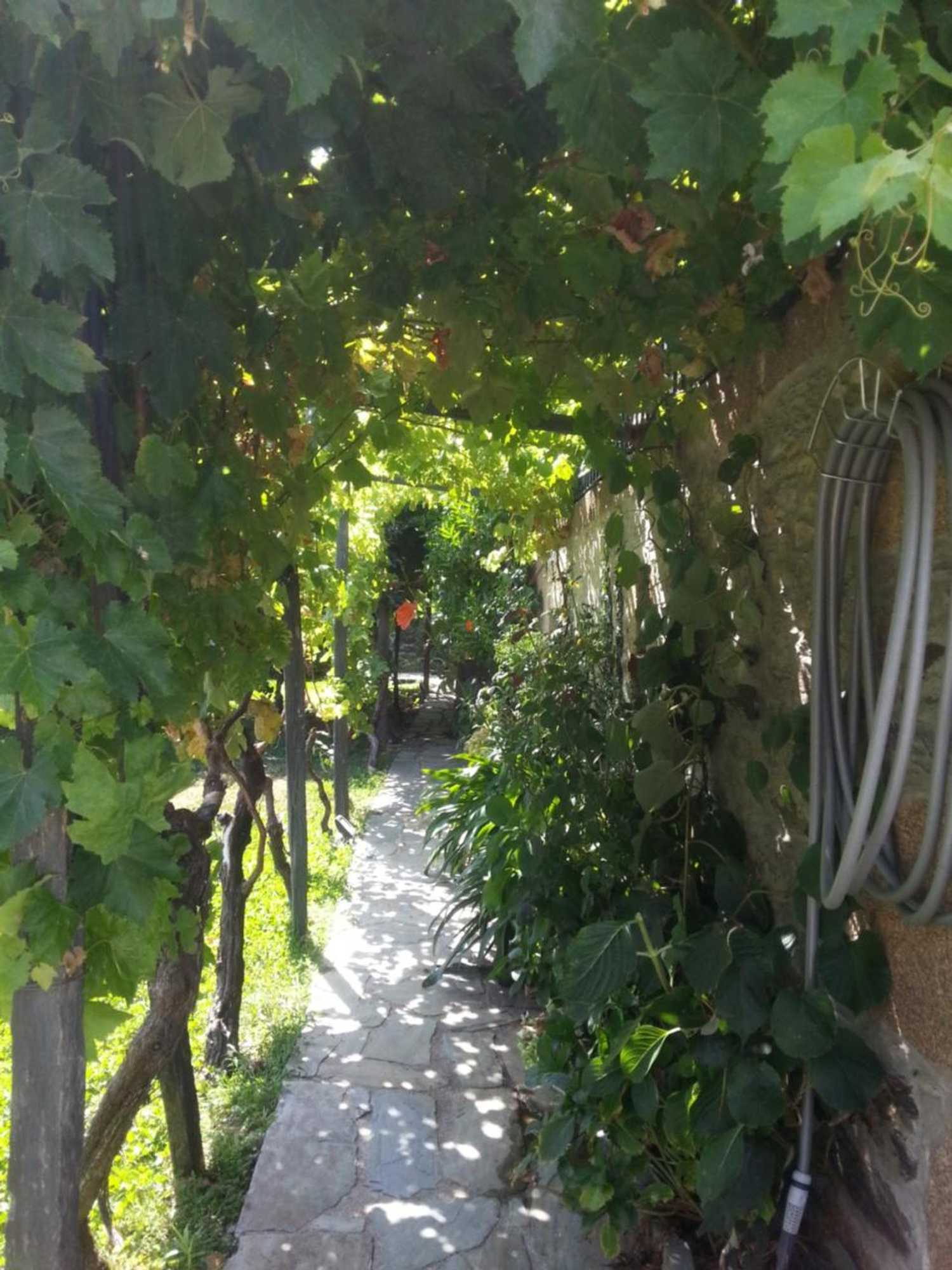 Gift card for O Zé Já Dormiu Aqui