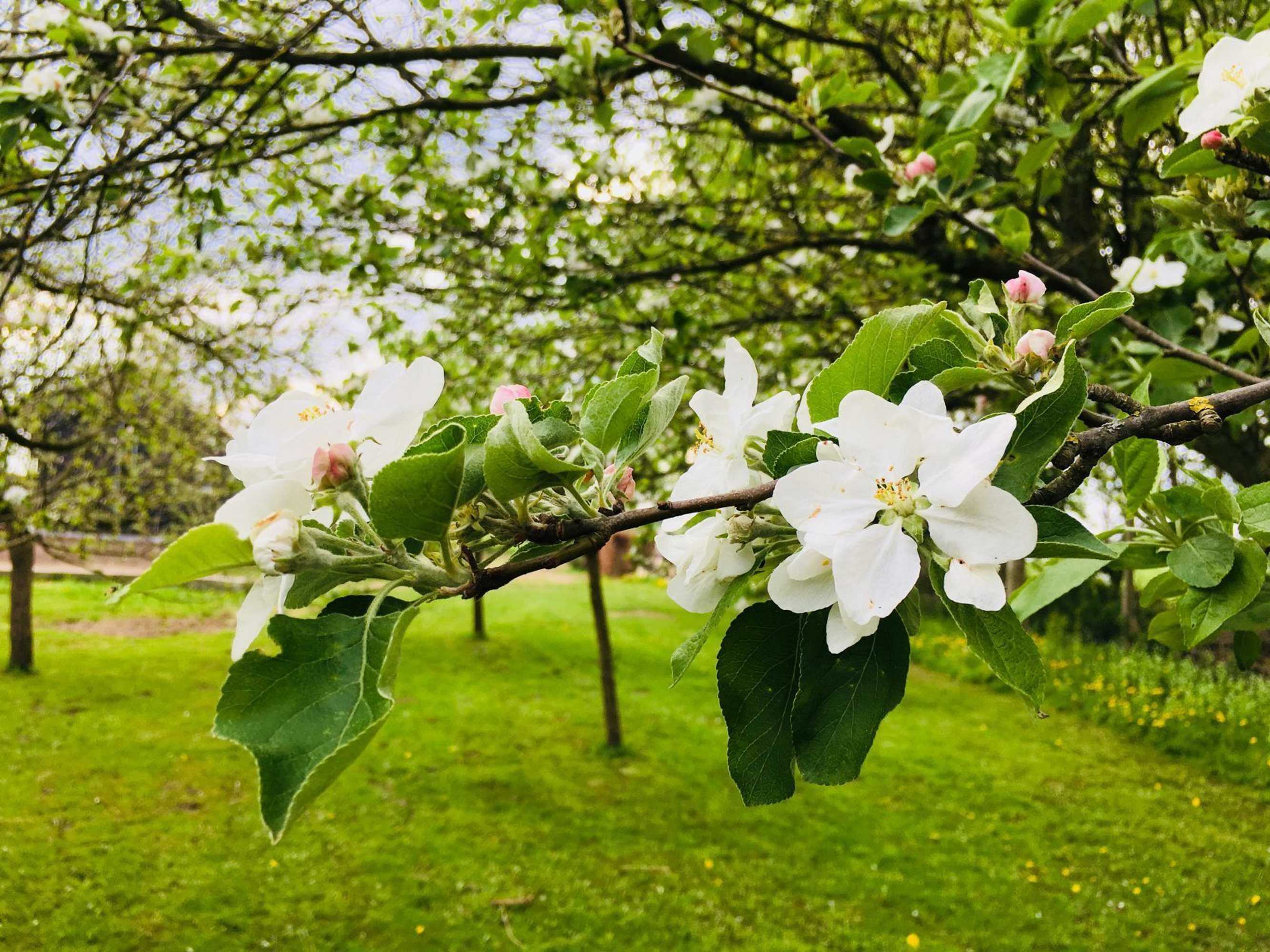 Gift card for In Het Huis Van Jo Daggert