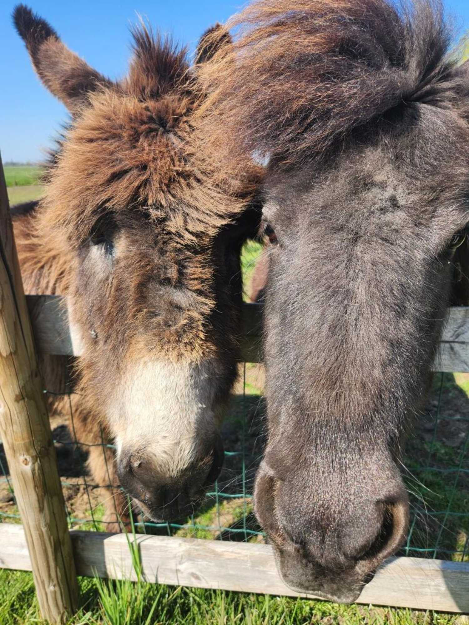 Gift card for Het Groene Wout