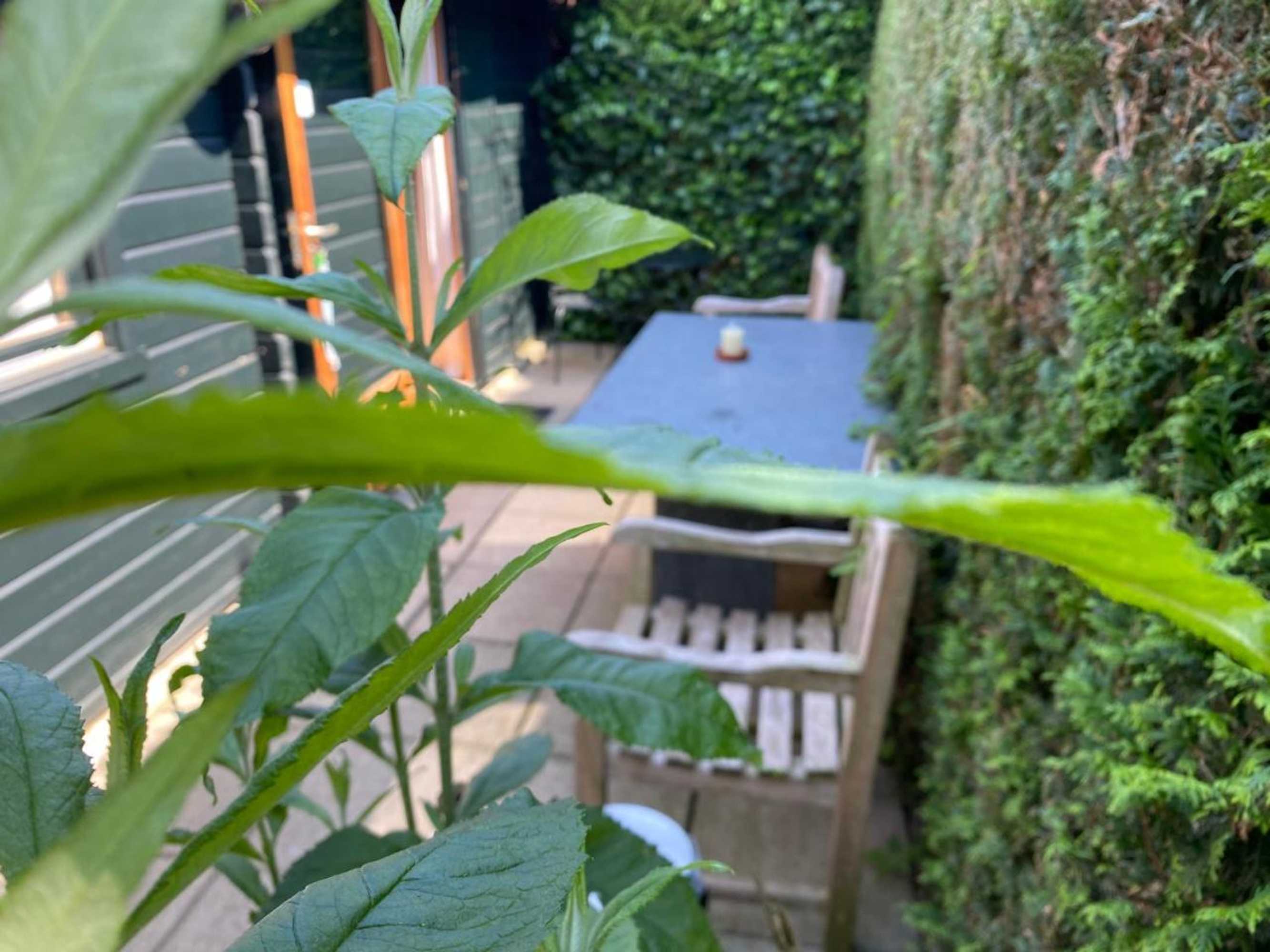 Gift card for La-Perchade